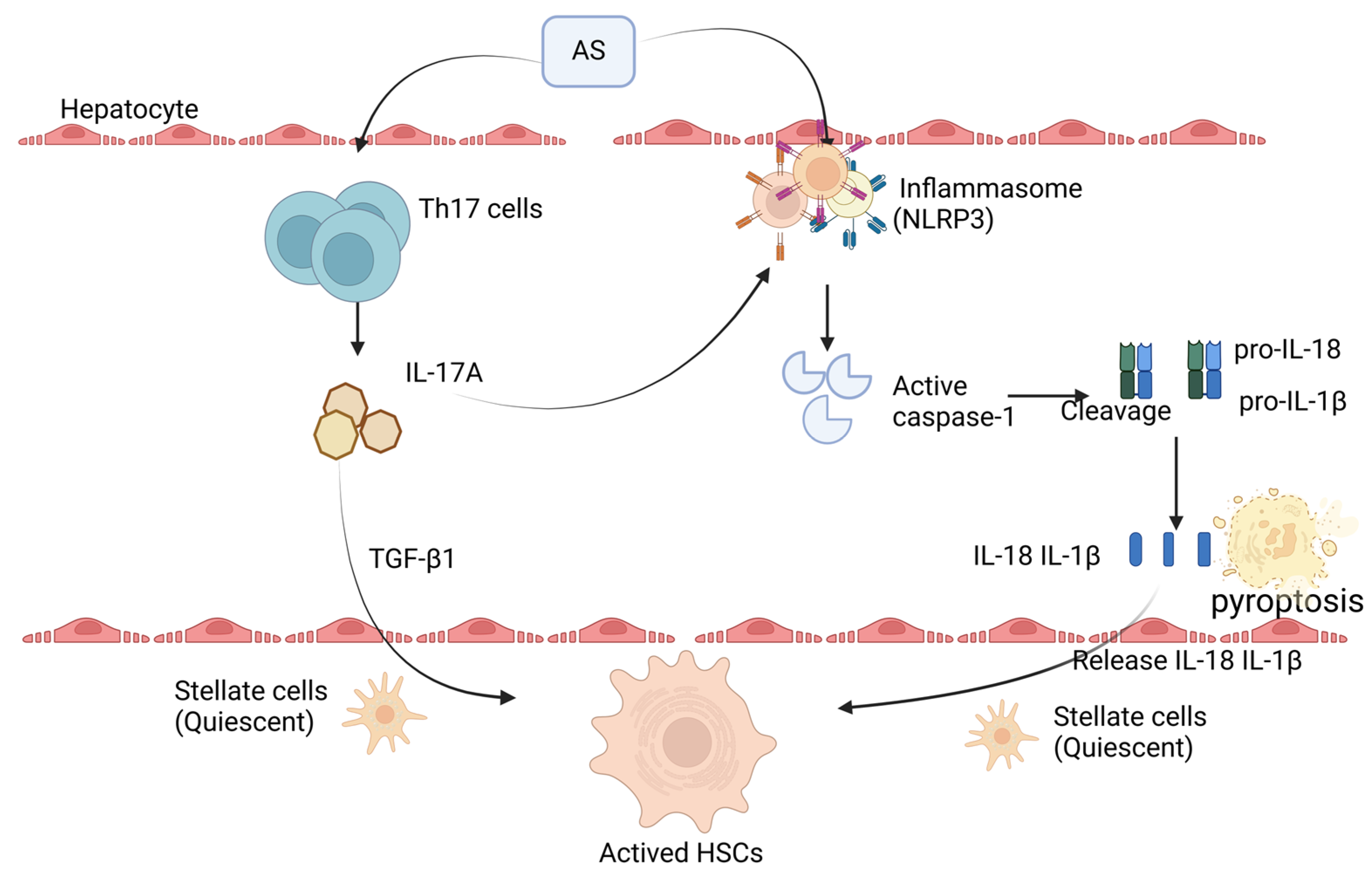 Toxics 13 00287 g005