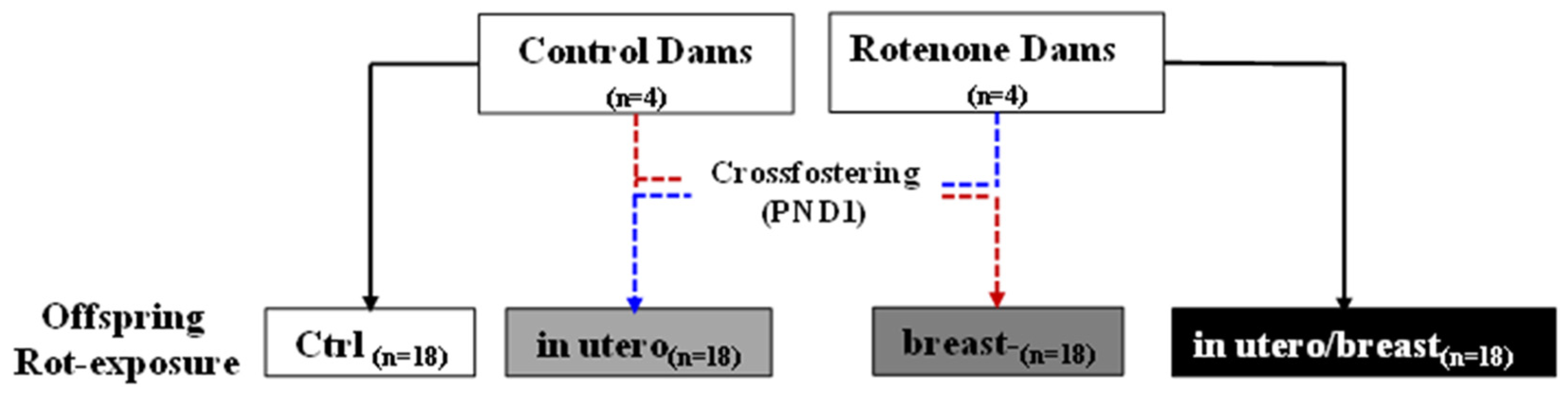 Toxics 13 00290 g001