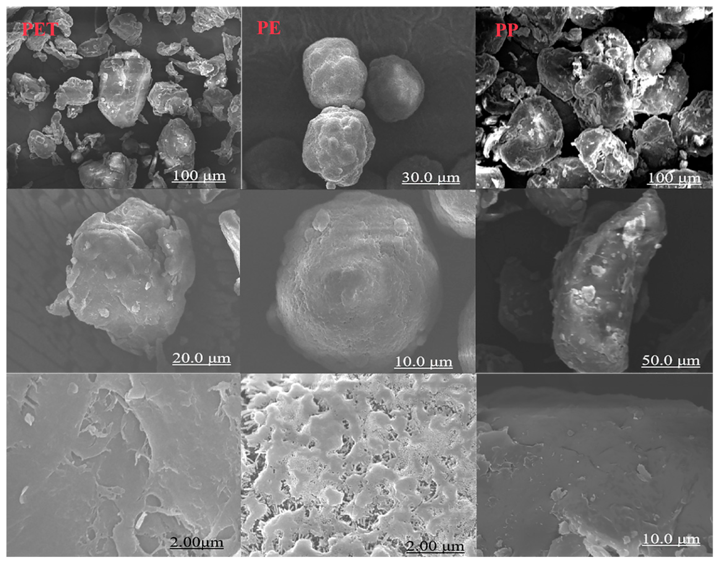 Toxics 13 00294 g001