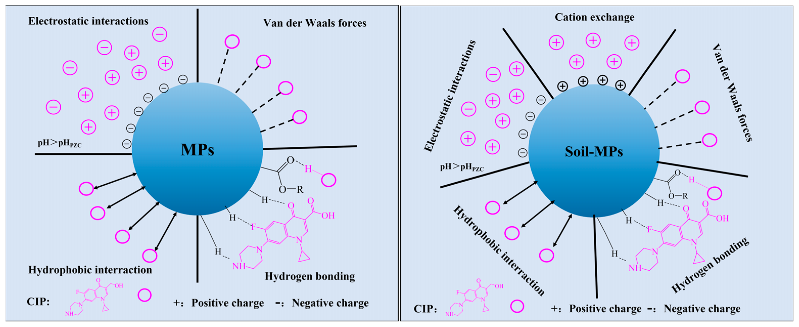 Toxics 13 00294 g009