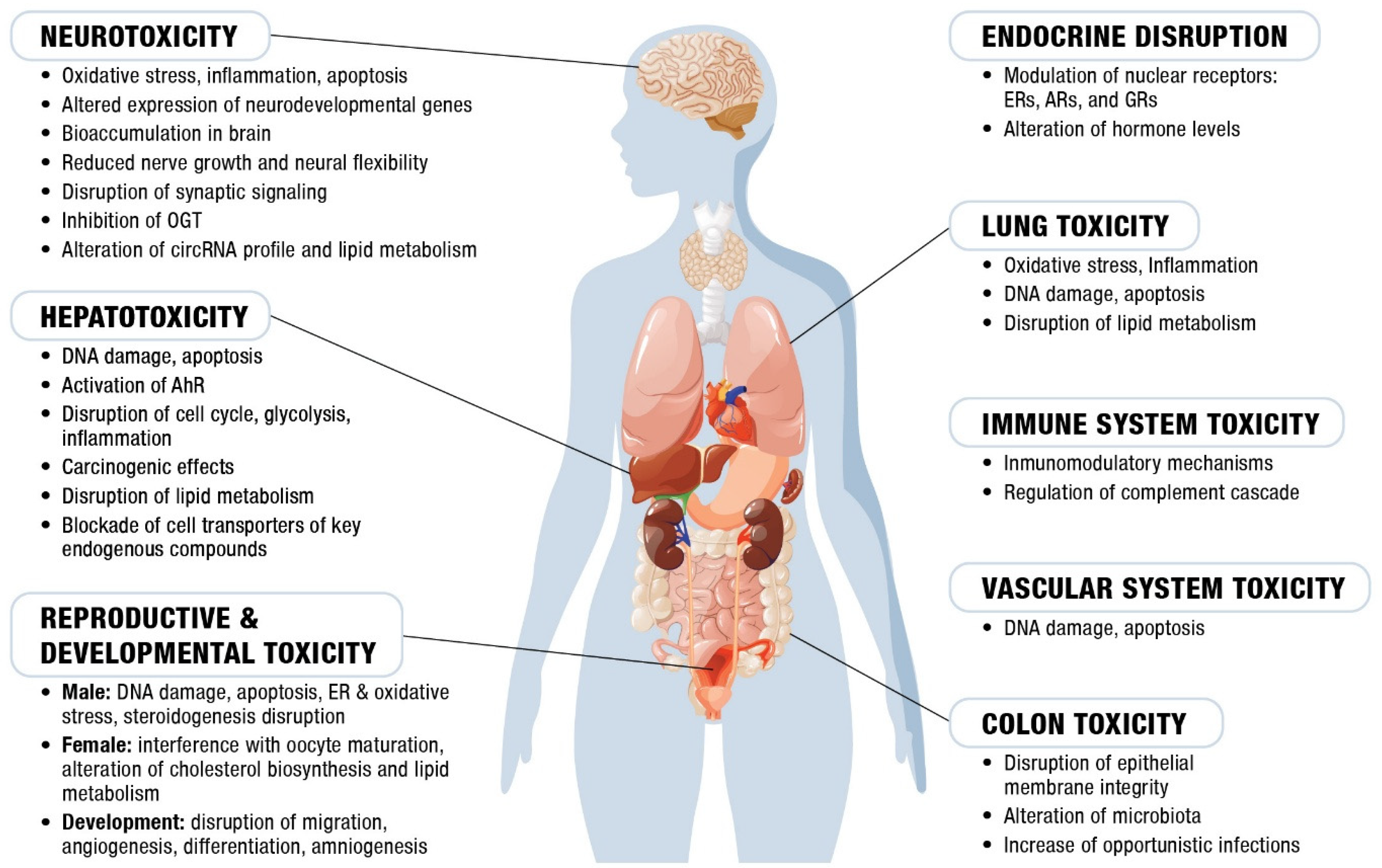 Toxics 13 00297 g002
