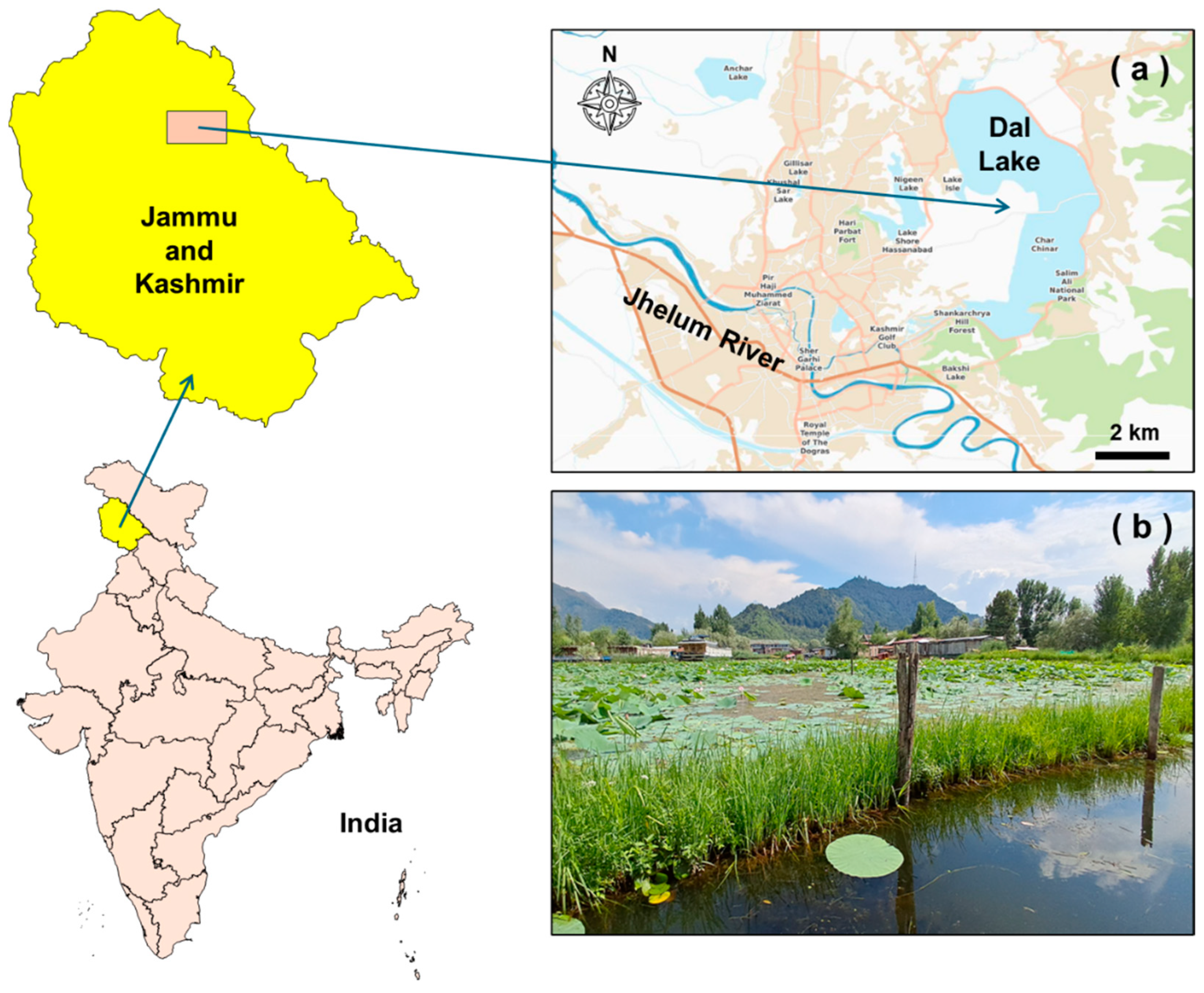 Toxics 13 00306 g001