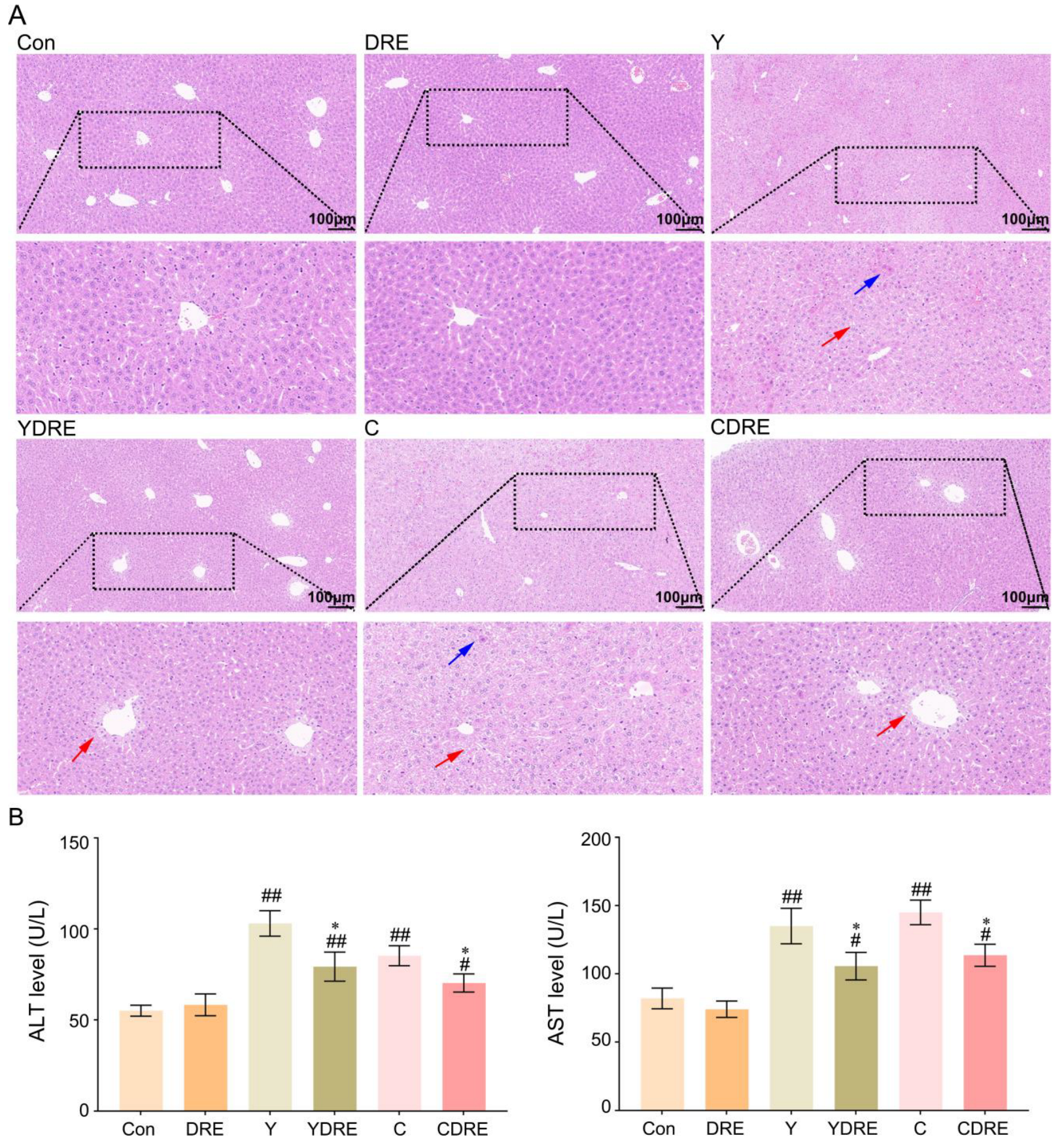 Toxics 13 00310 g005