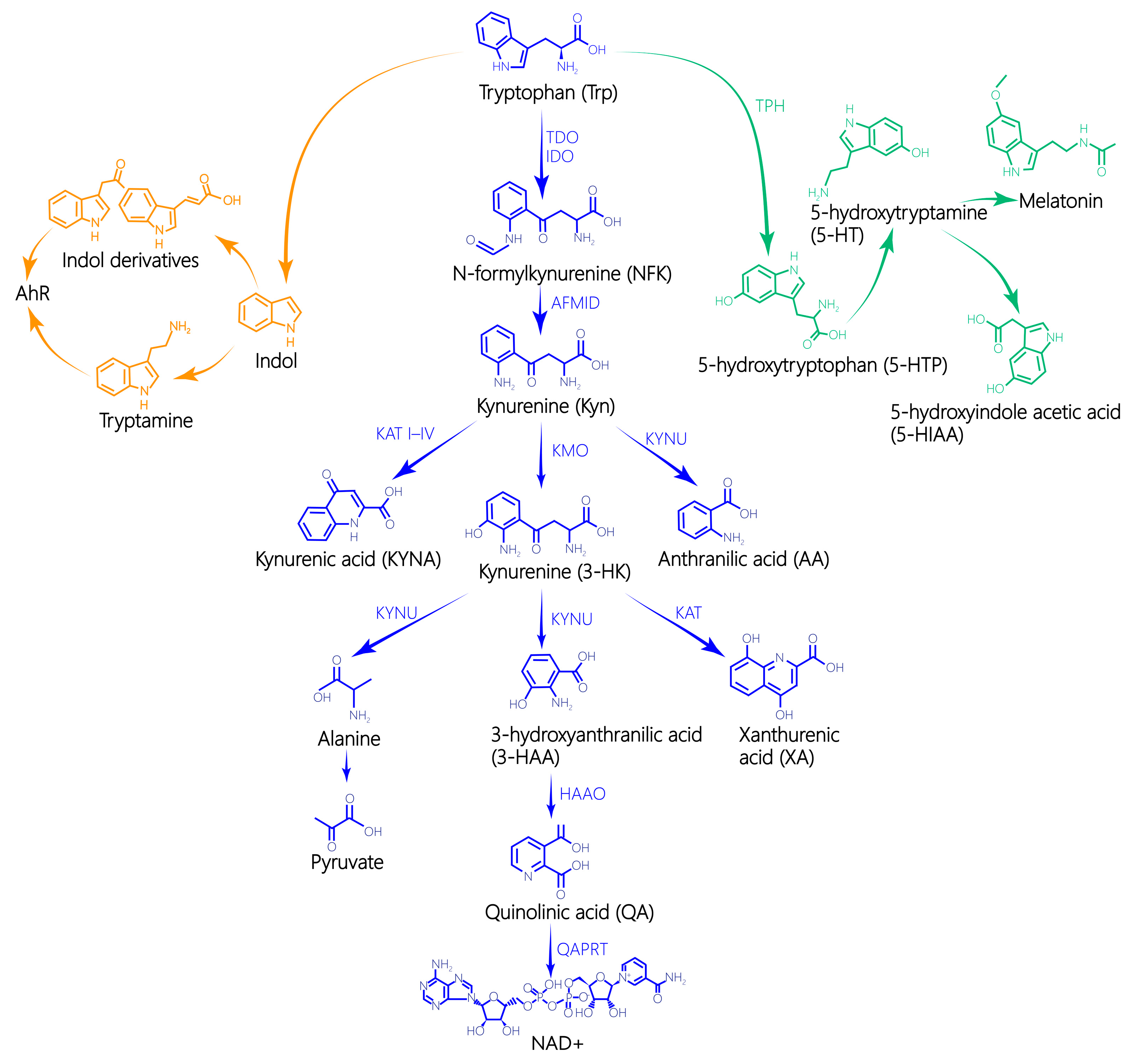 Toxics 13 00311 g002
