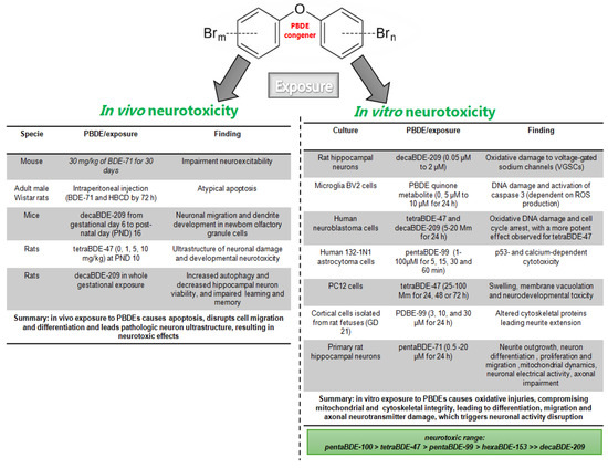 Toxics 13 00316 g001