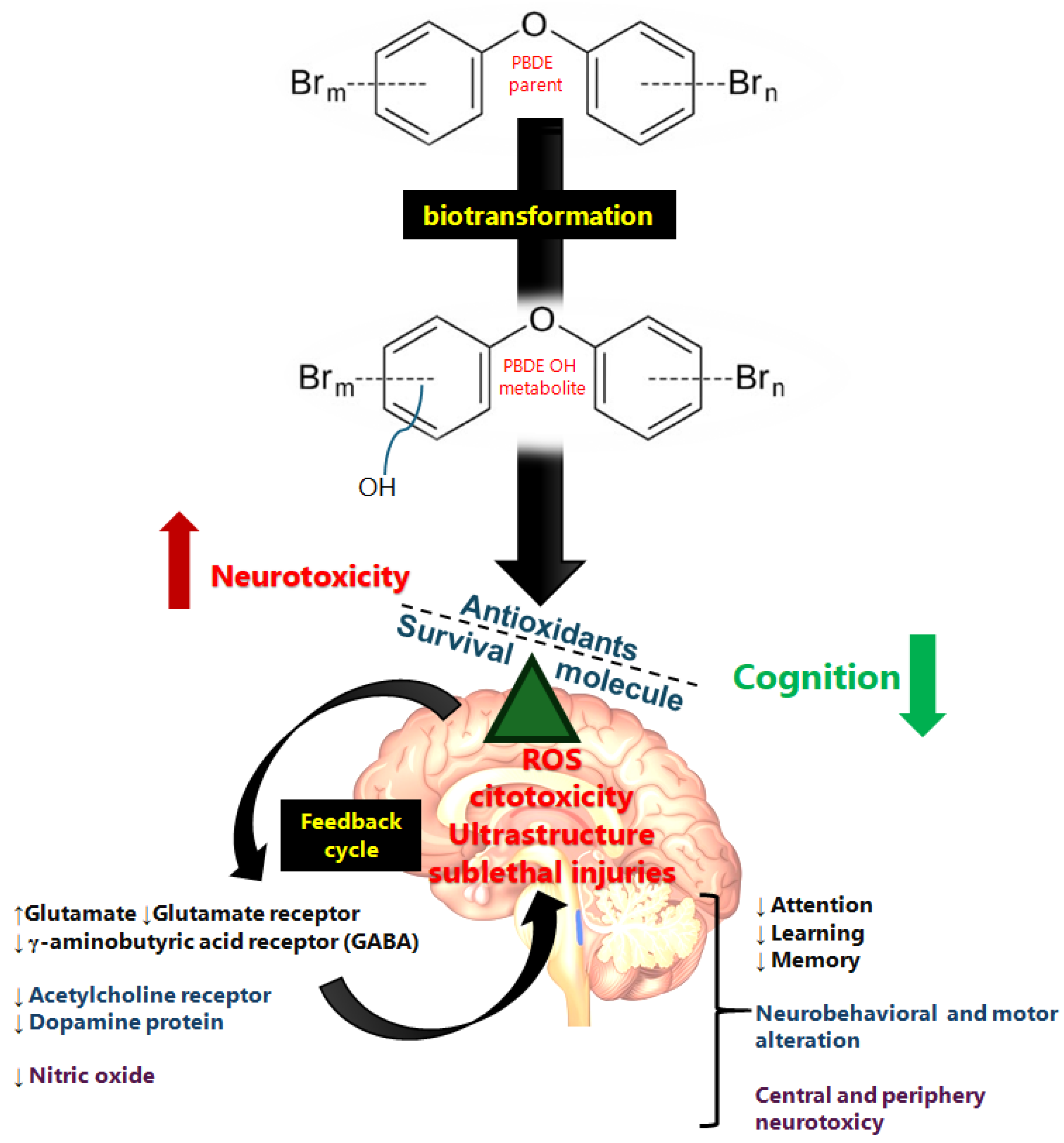 Toxics 13 00316 g002