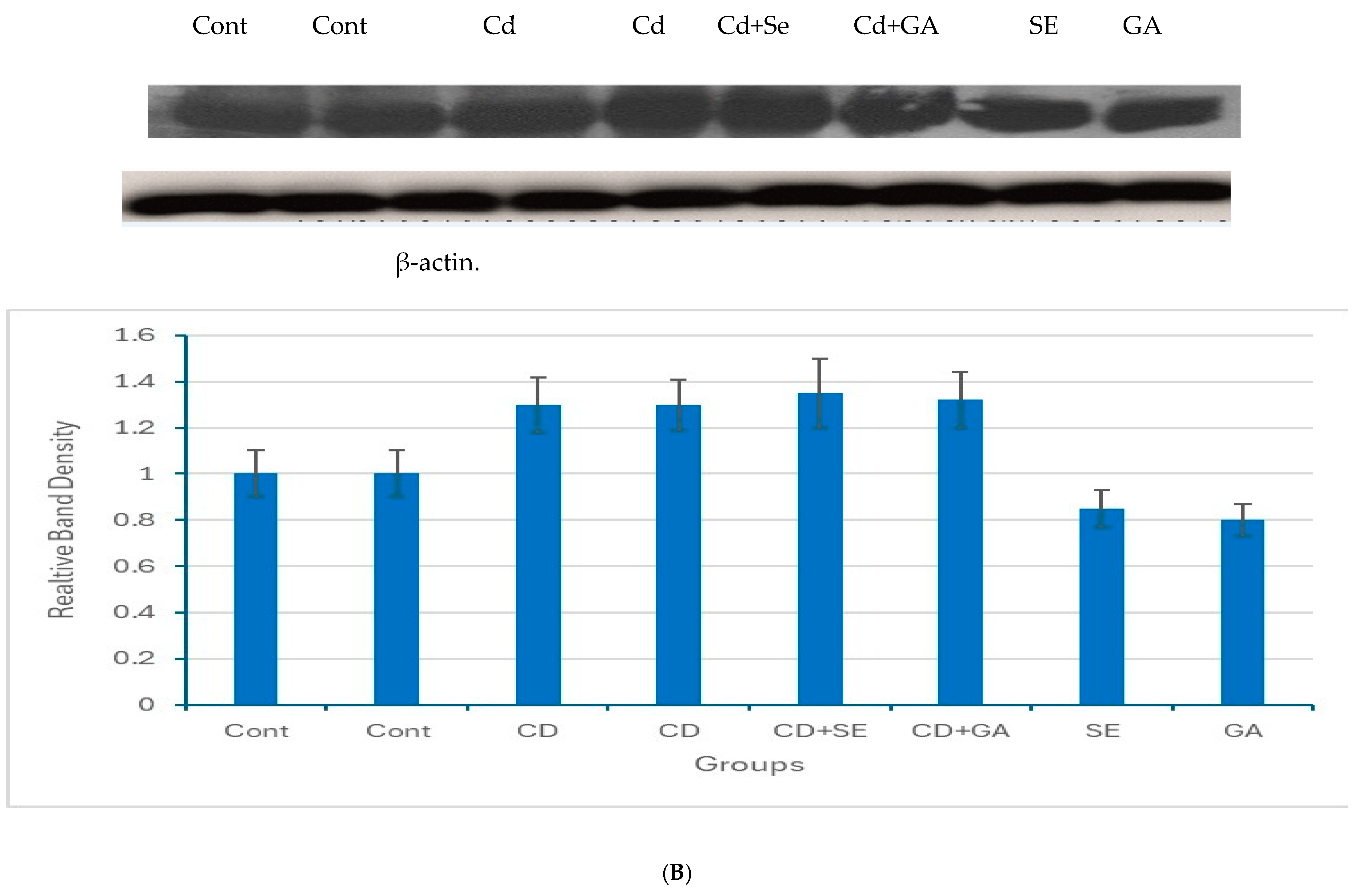 Toxics 13 00323 g001b