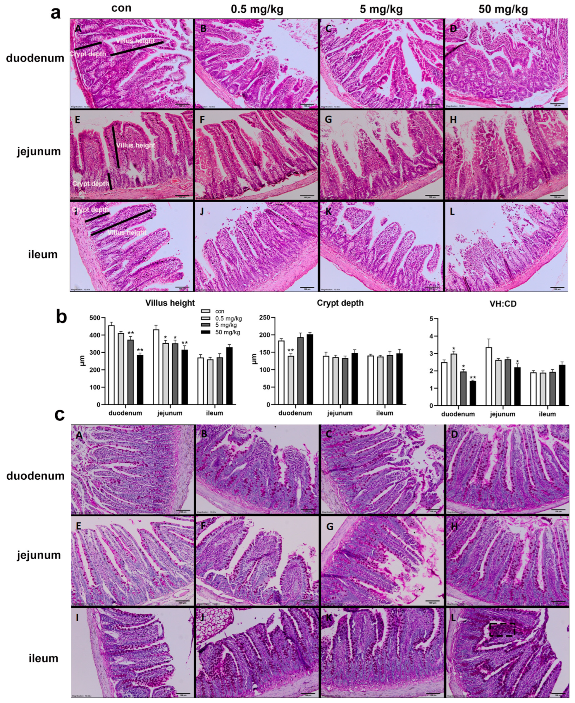 Toxics 13 00331 g001