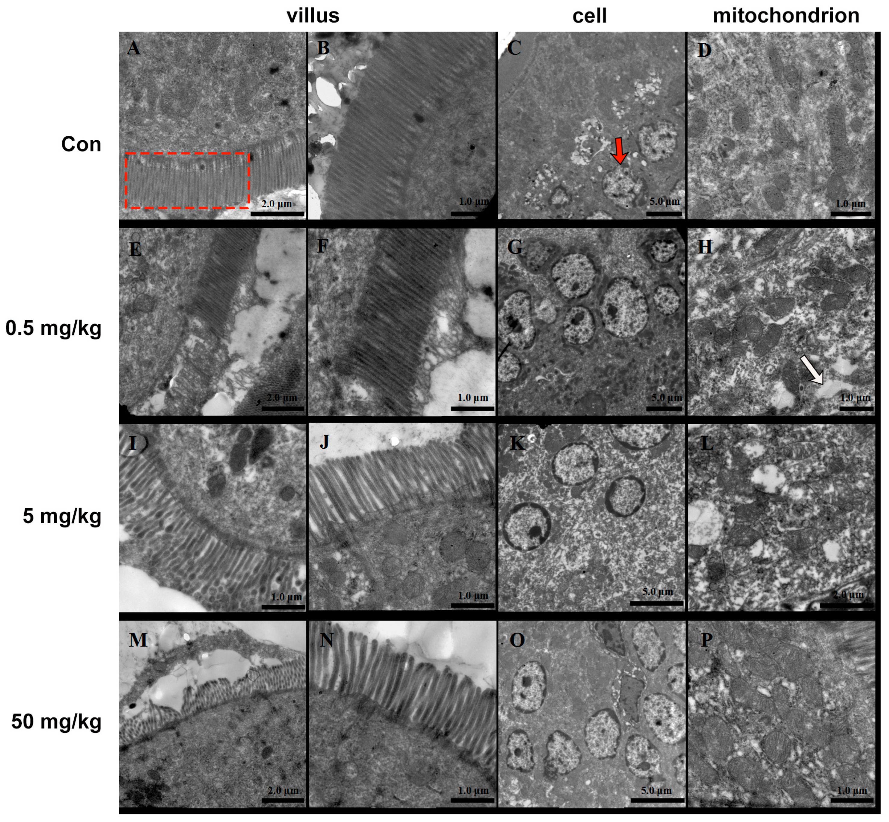 Toxics 13 00331 g002
