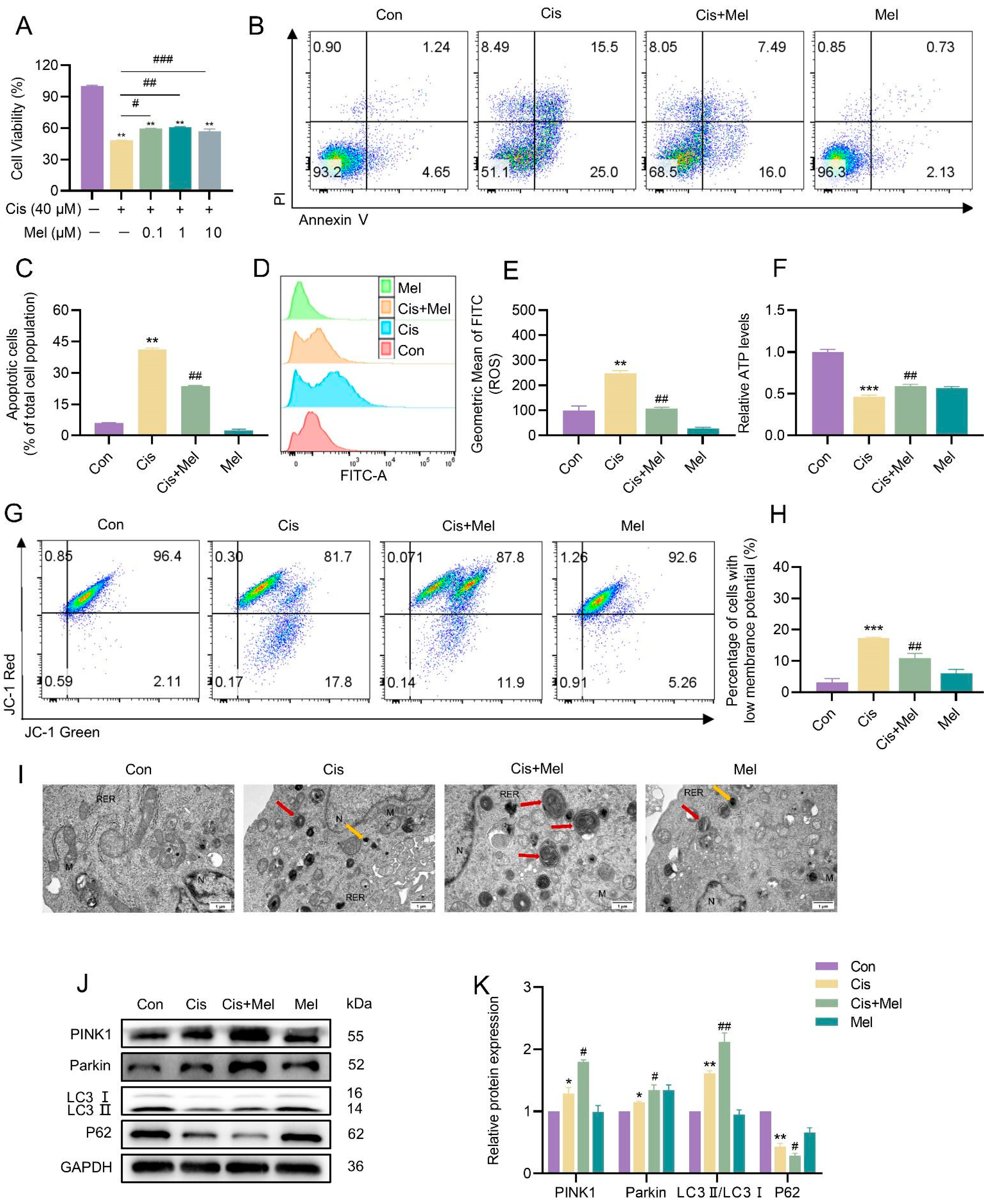 Toxics 13 00332 g006