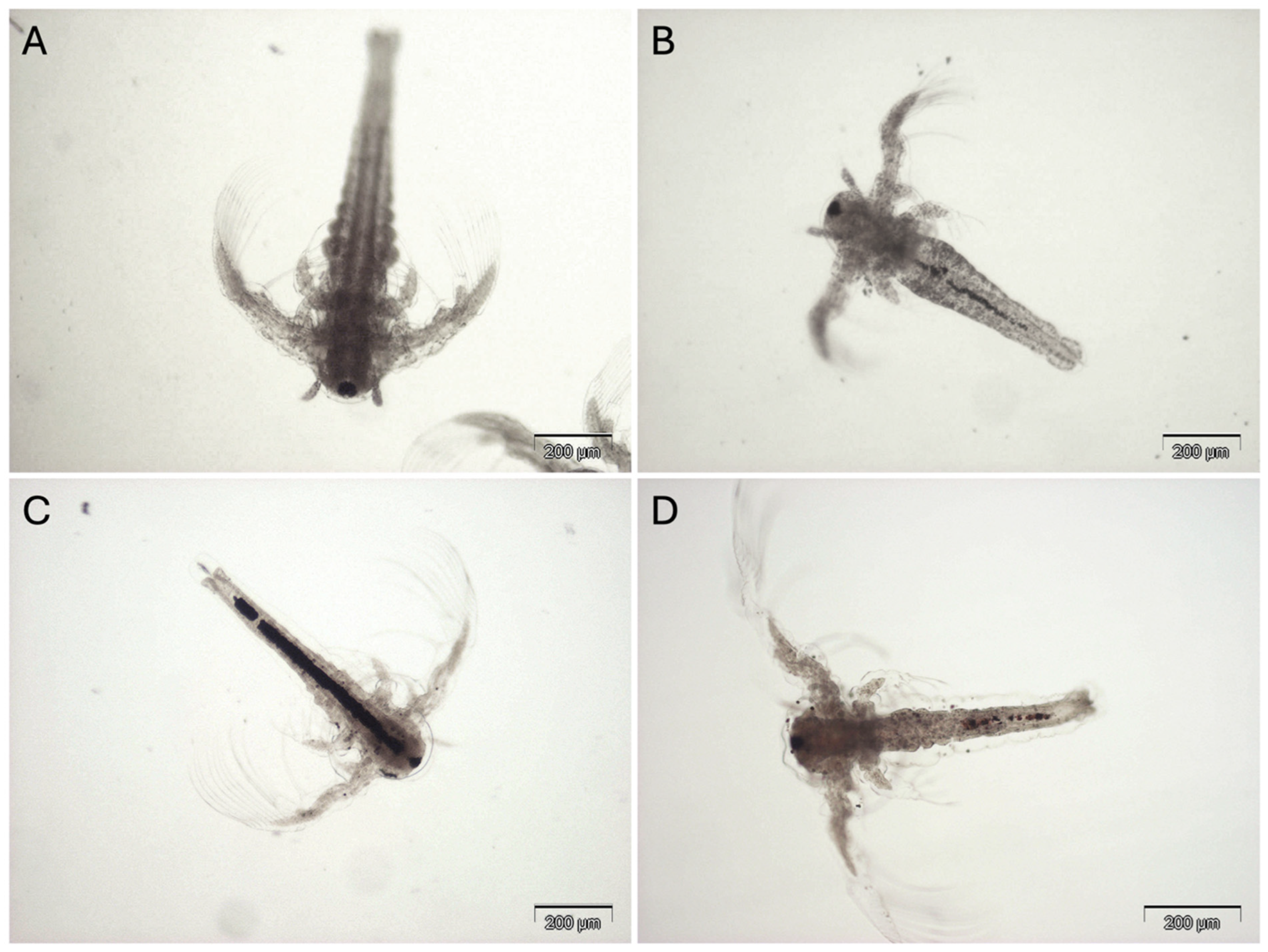 Toxics 13 00338 g003