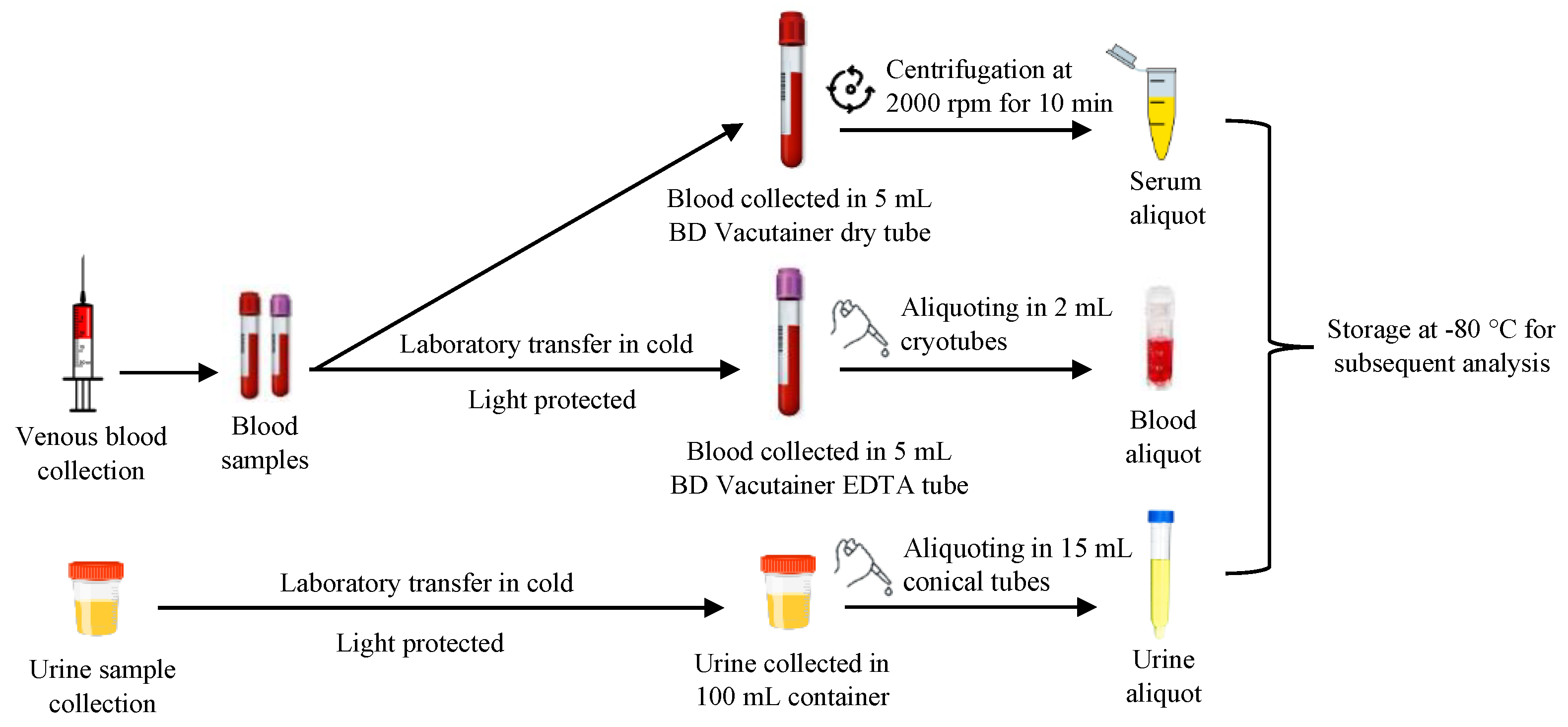 Toxics 13 00340 g003