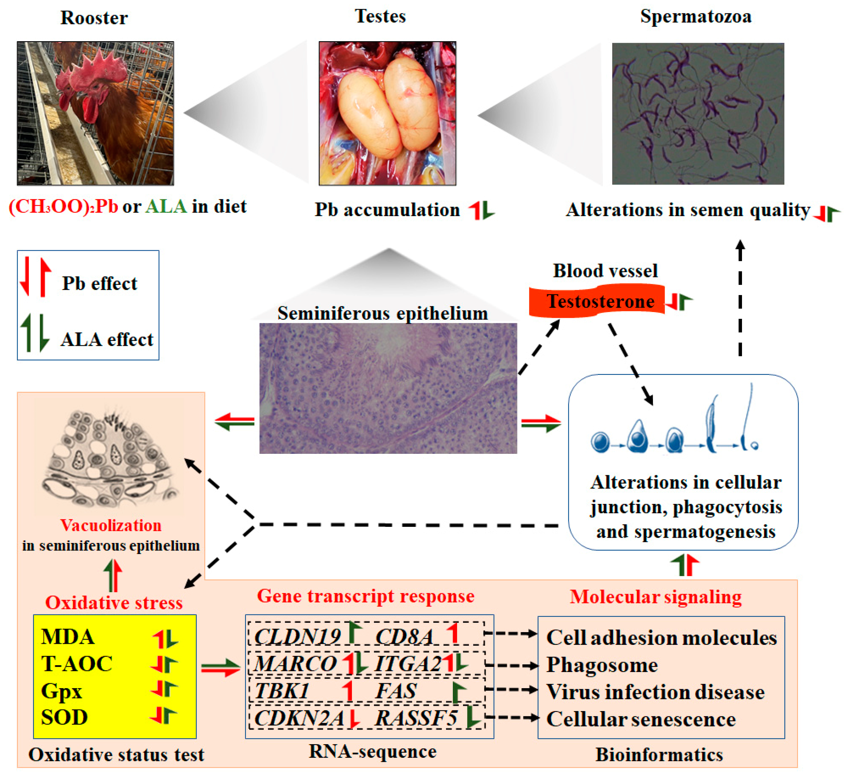 Toxics 13 00341 g007