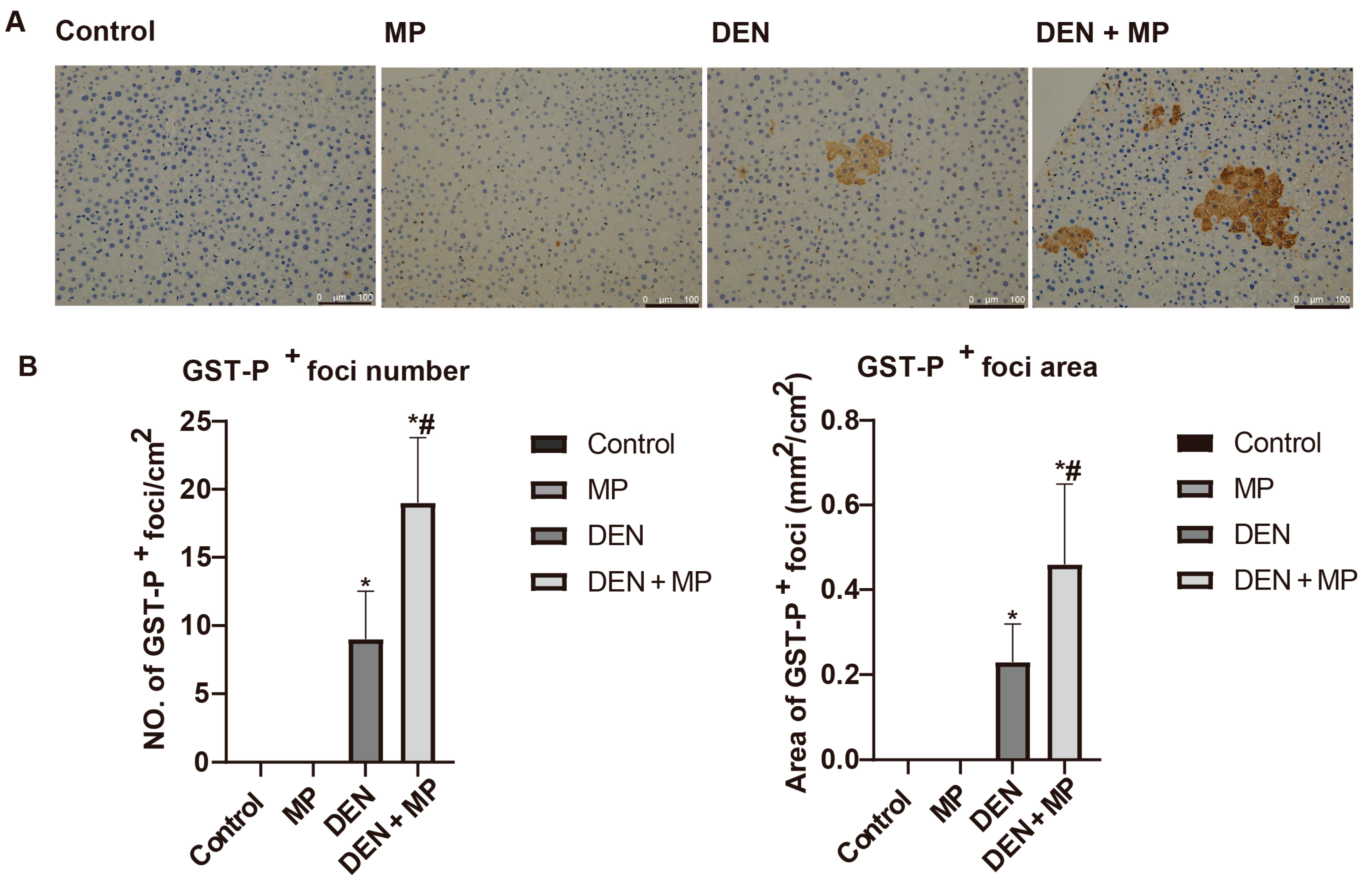 Toxics 13 00353 g002