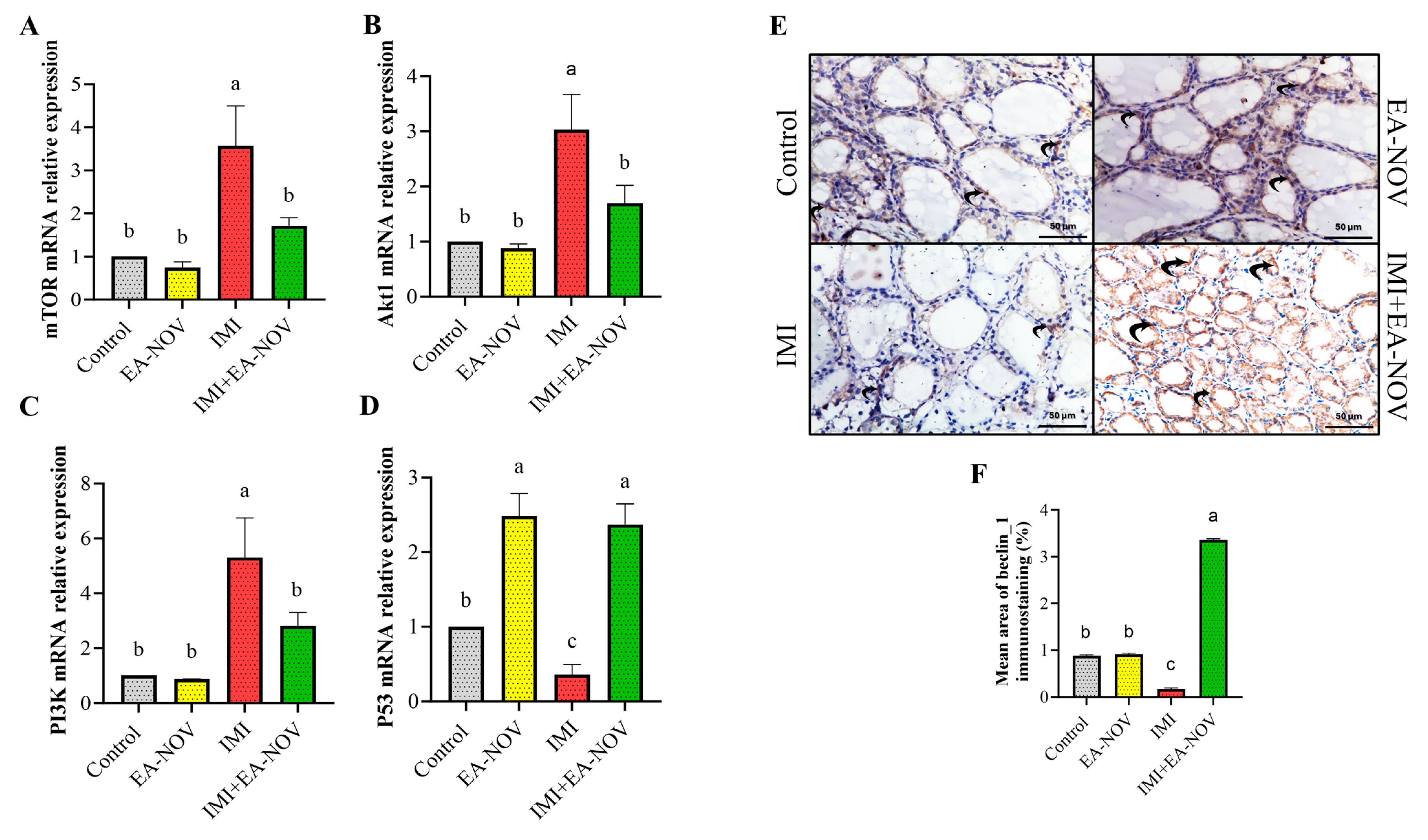 Toxics 13 00355 g007