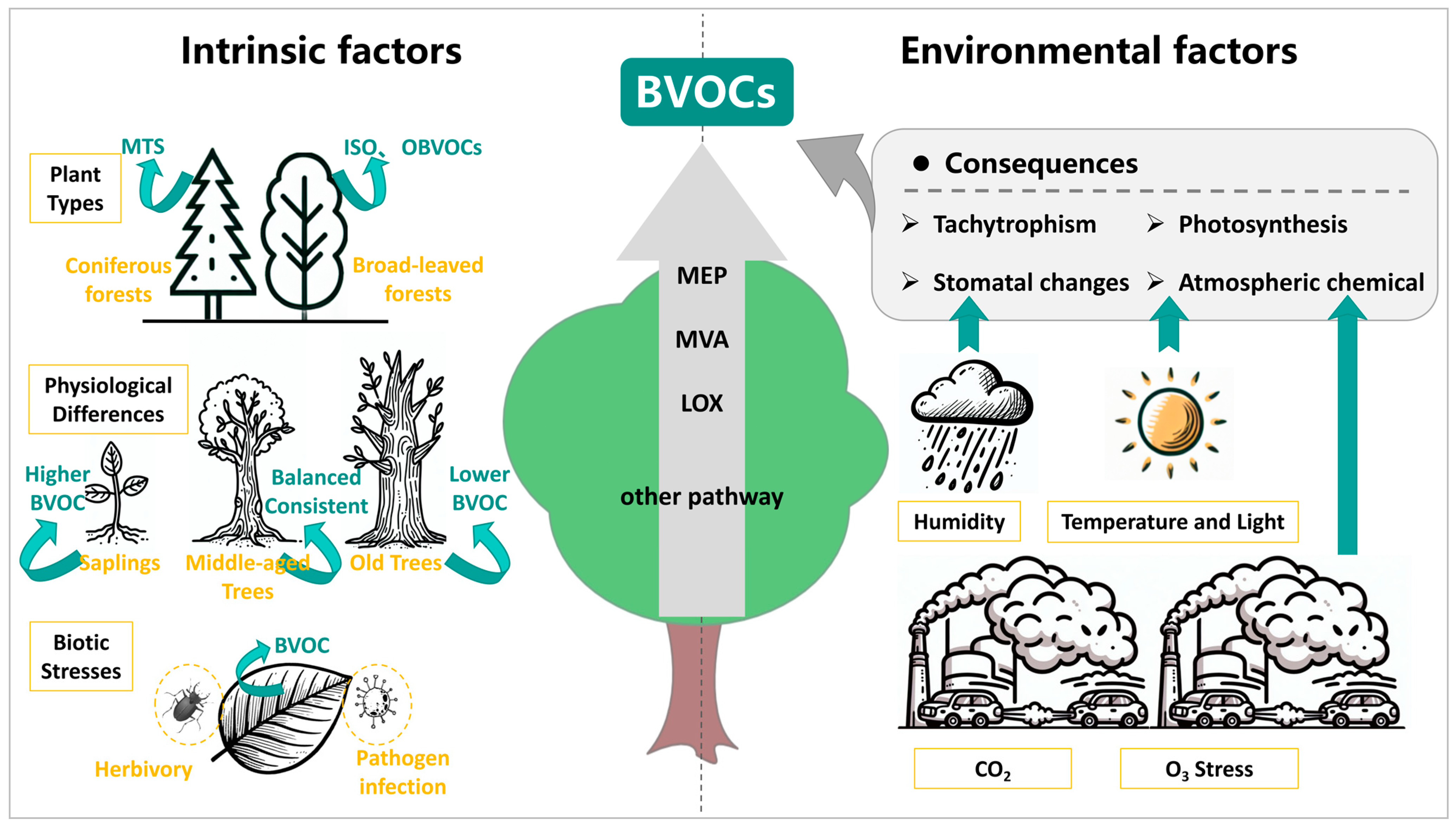Toxics 13 00364 g004