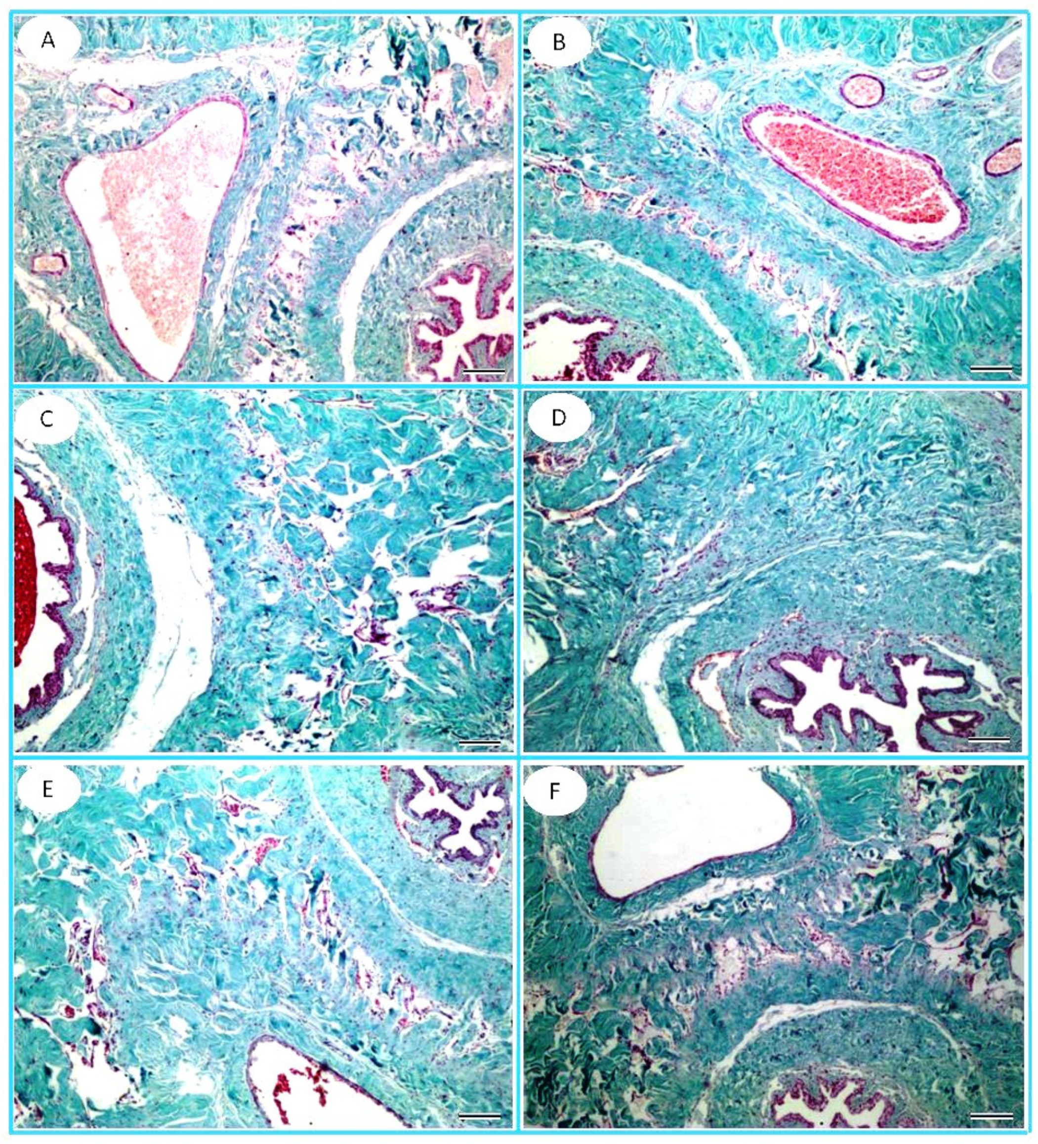 Toxics 13 00371 g009