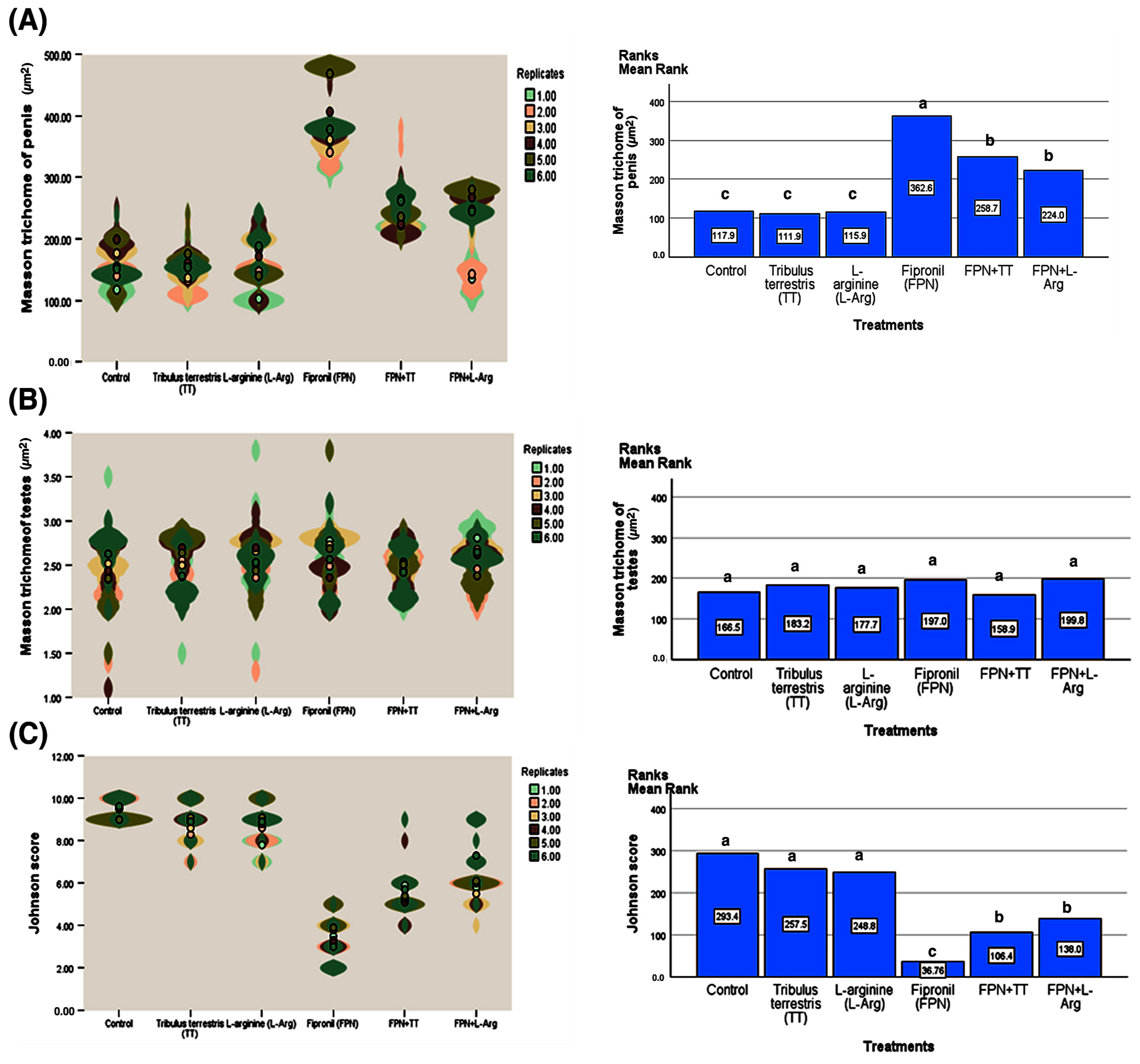 Toxics 13 00371 g010