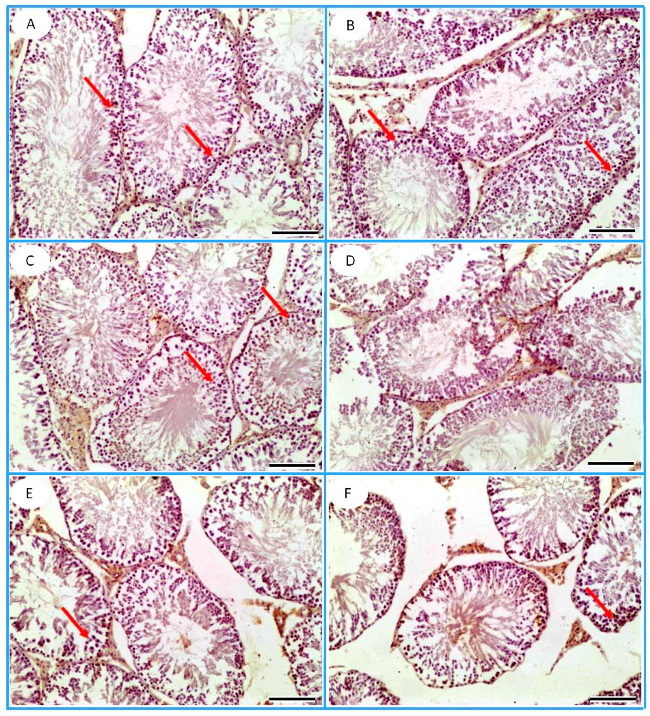 Toxics 13 00371 g012