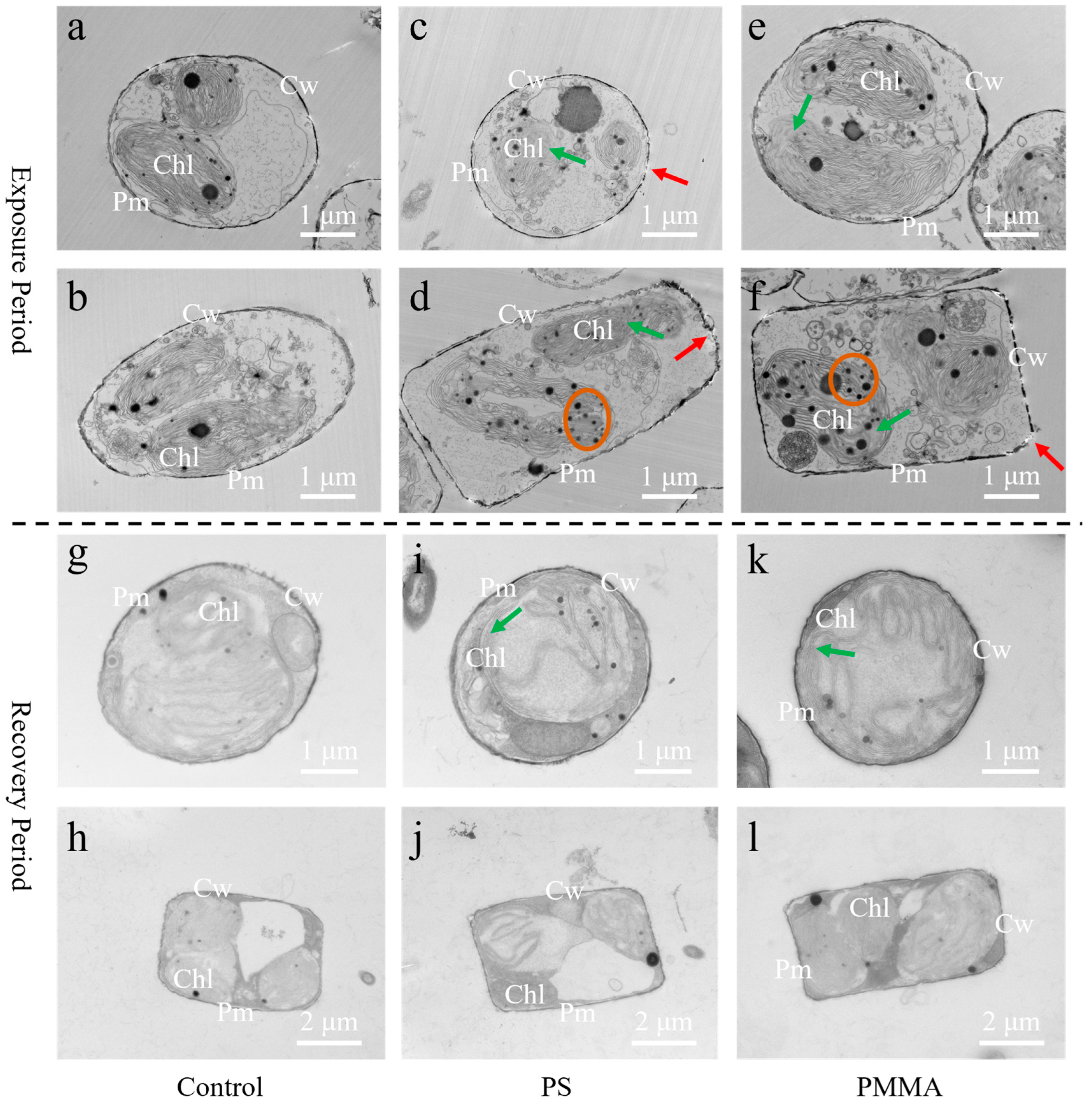 Toxics 13 00376 g003