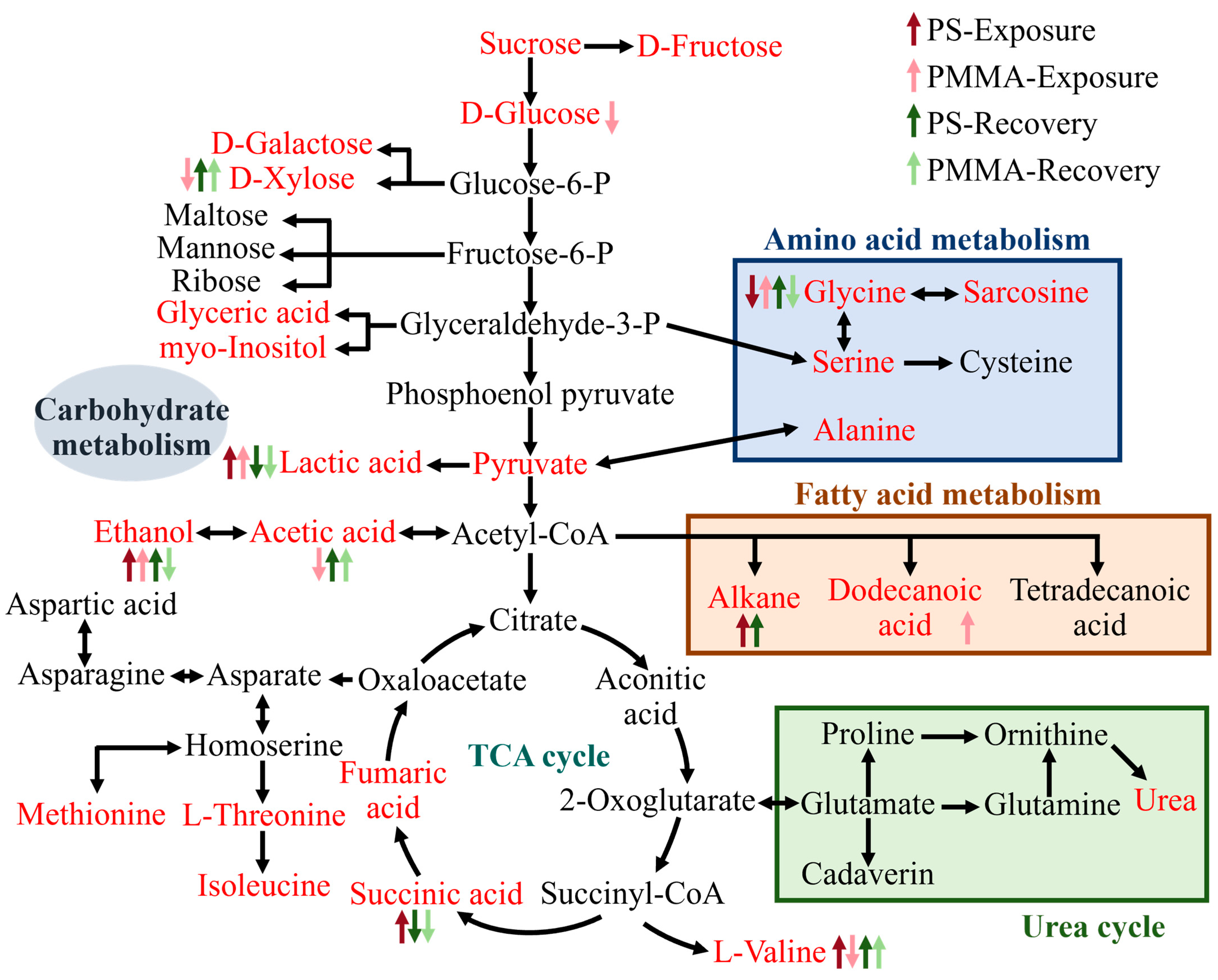Toxics 13 00376 g006