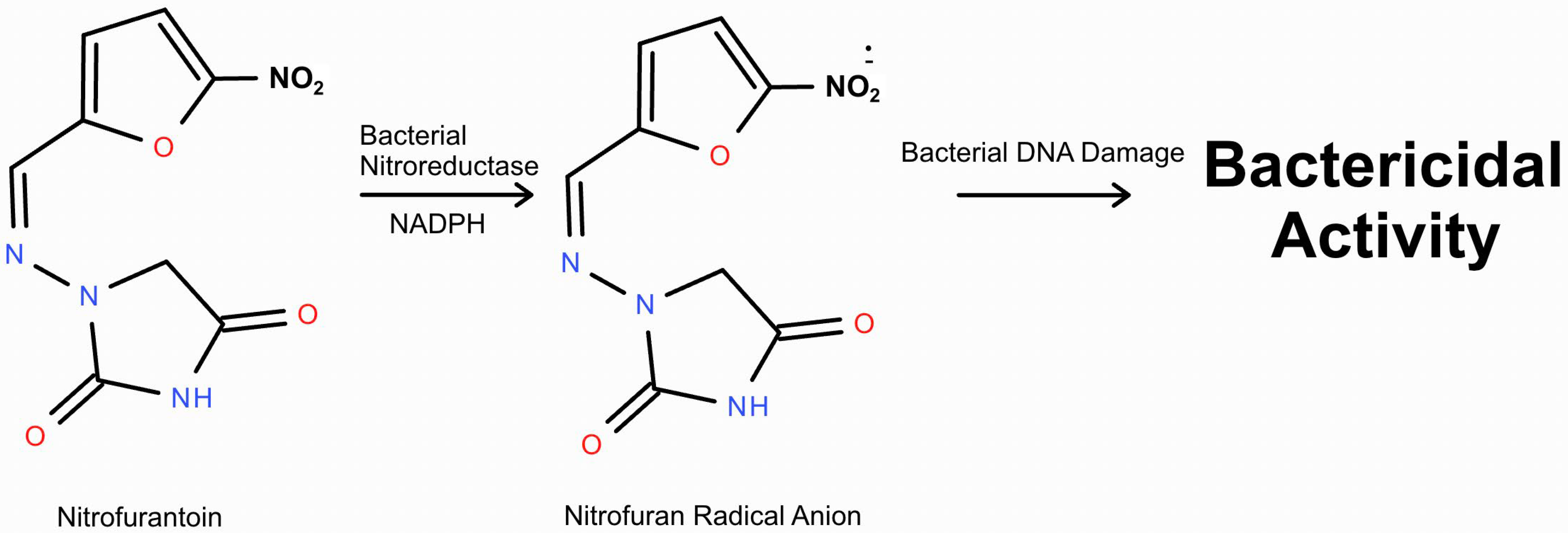 Toxics 13 00382 g002