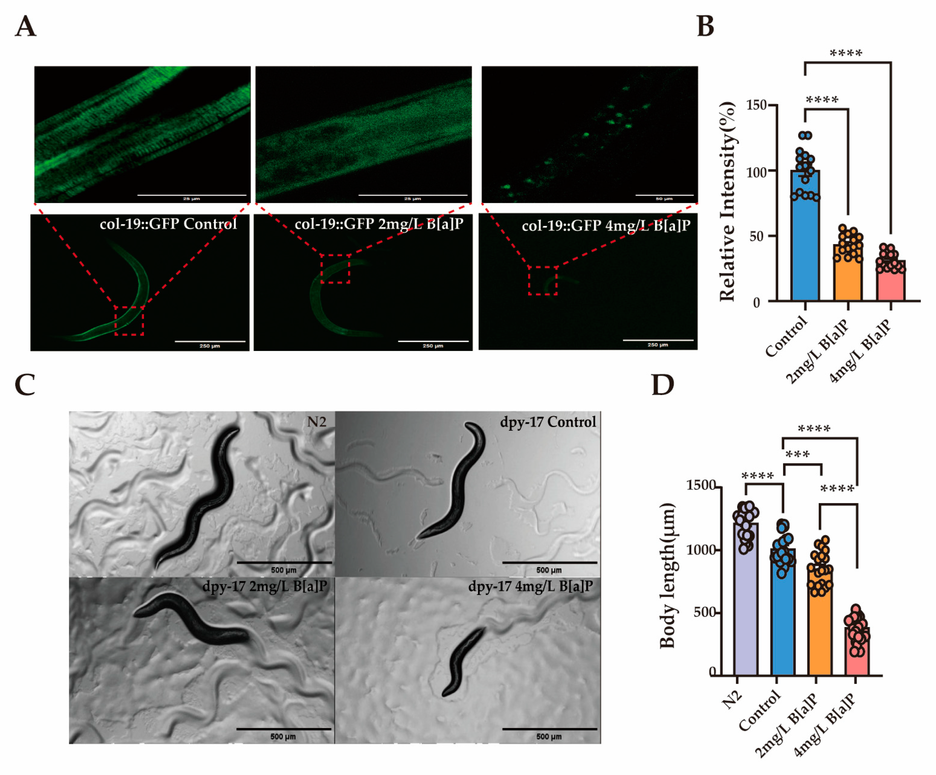 Toxics 13 00384 g005