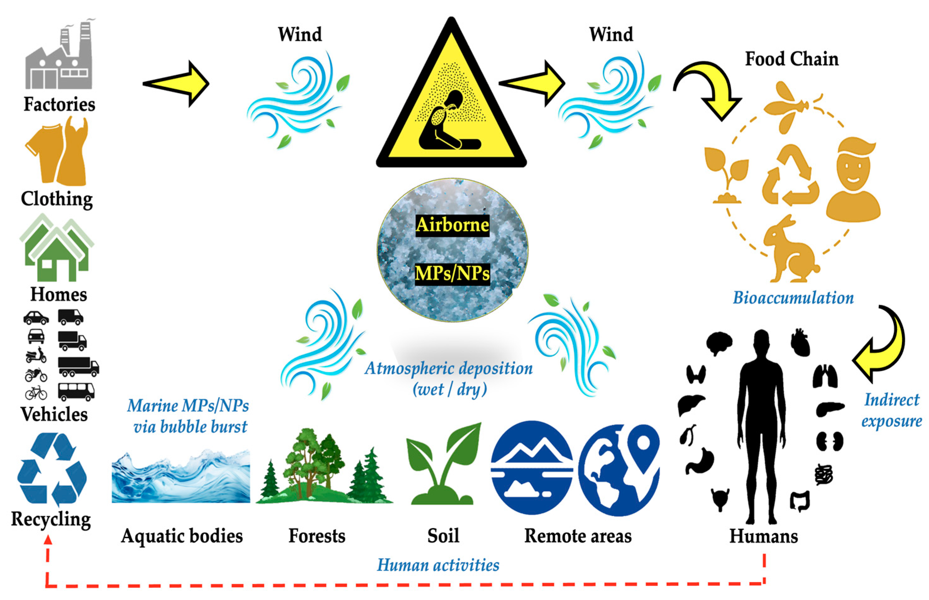 Toxics 13 00387 g005