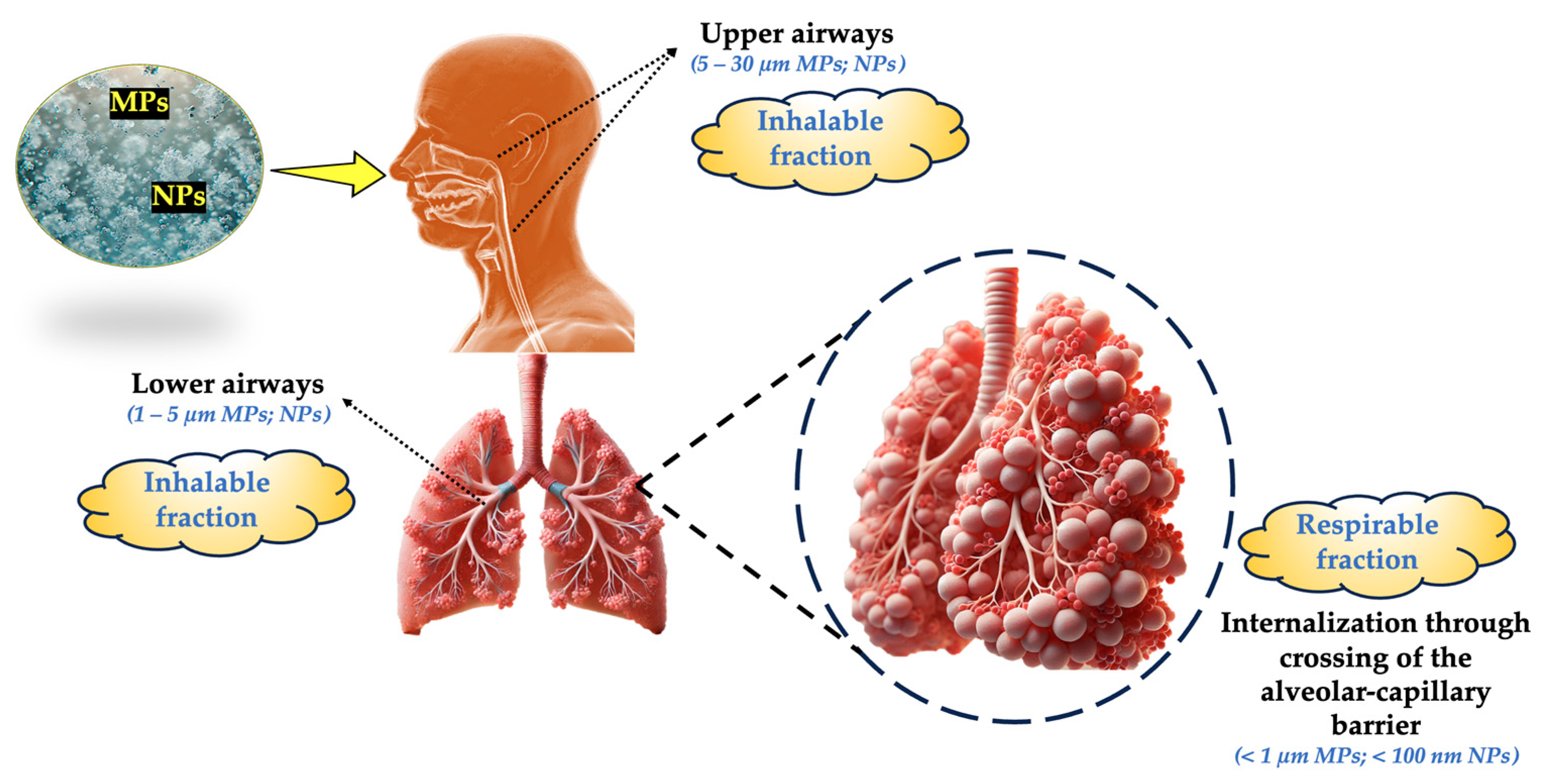 Toxics 13 00387 g006