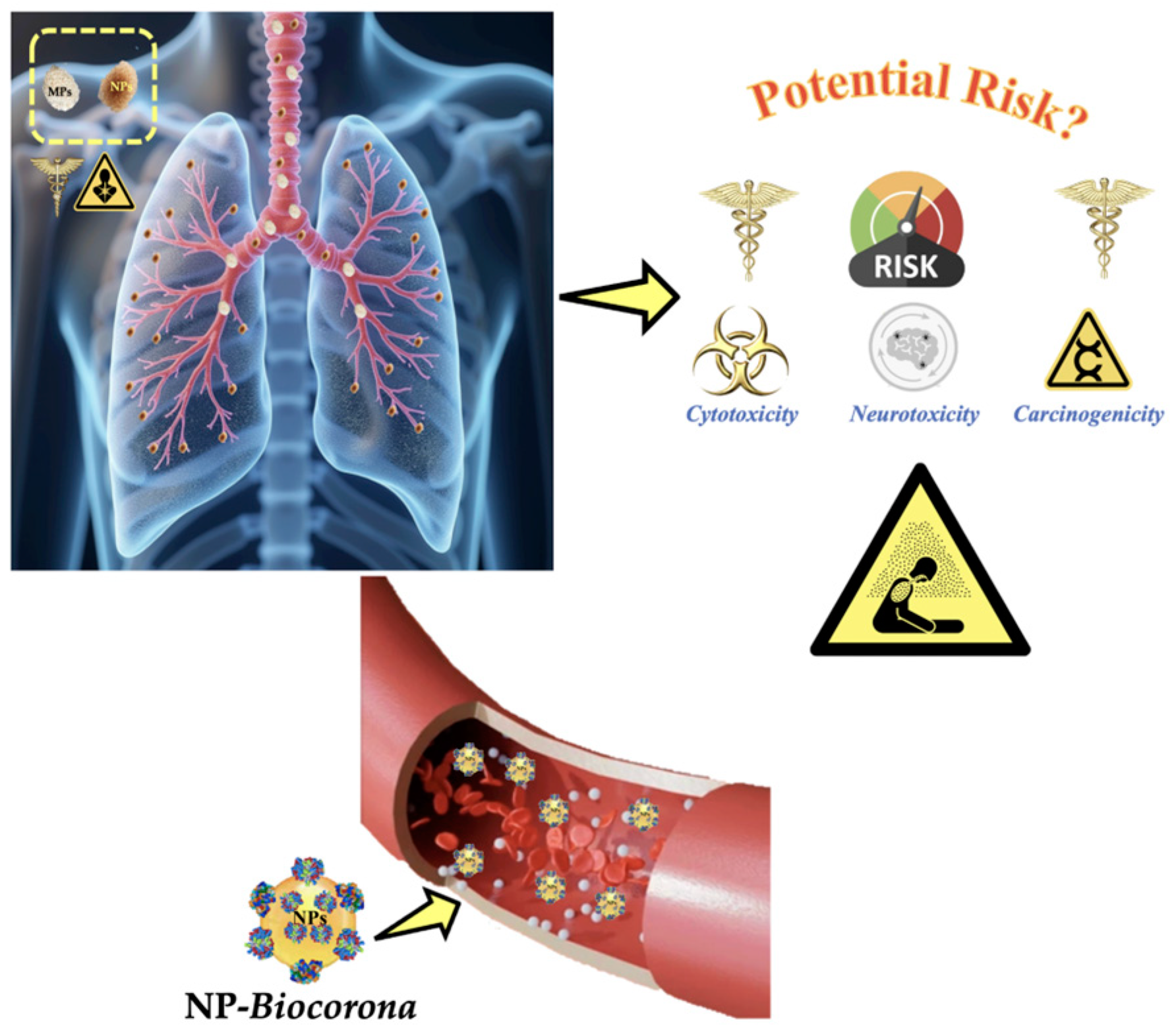 Toxics 13 00387 g007