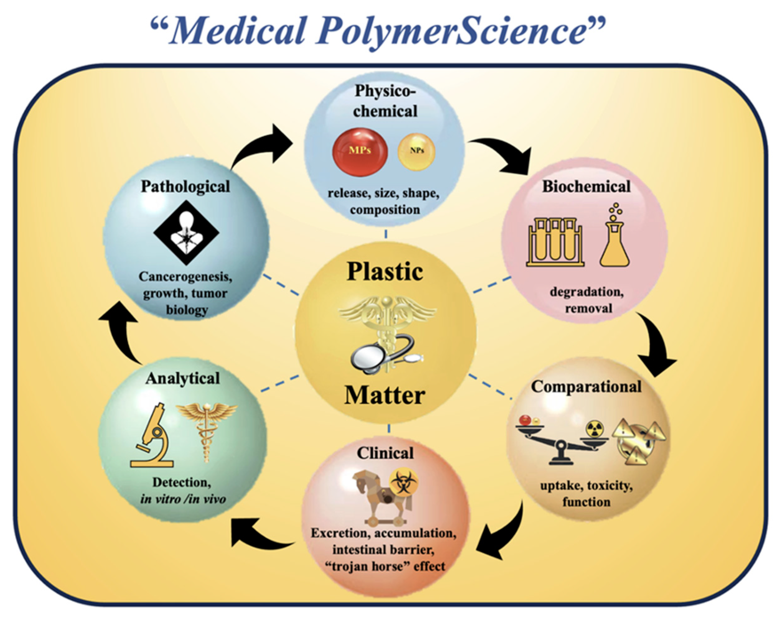 Toxics 13 00387 g009