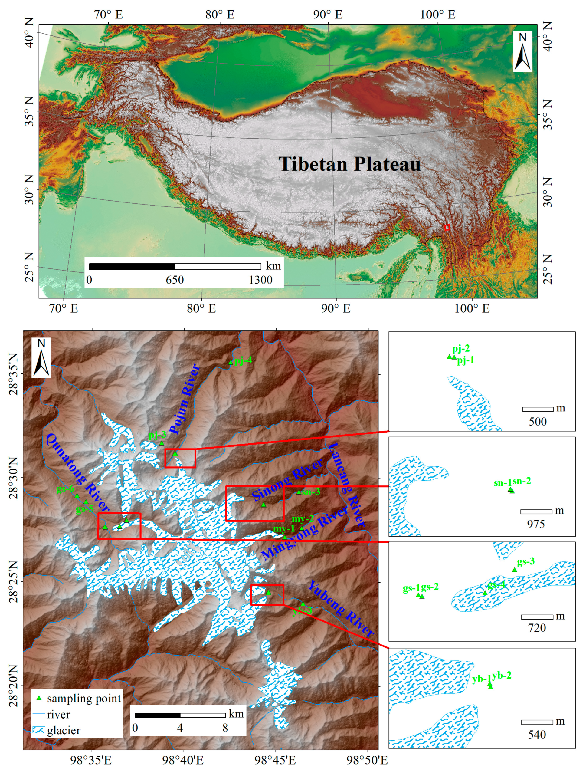 Toxics 13 00391 g001