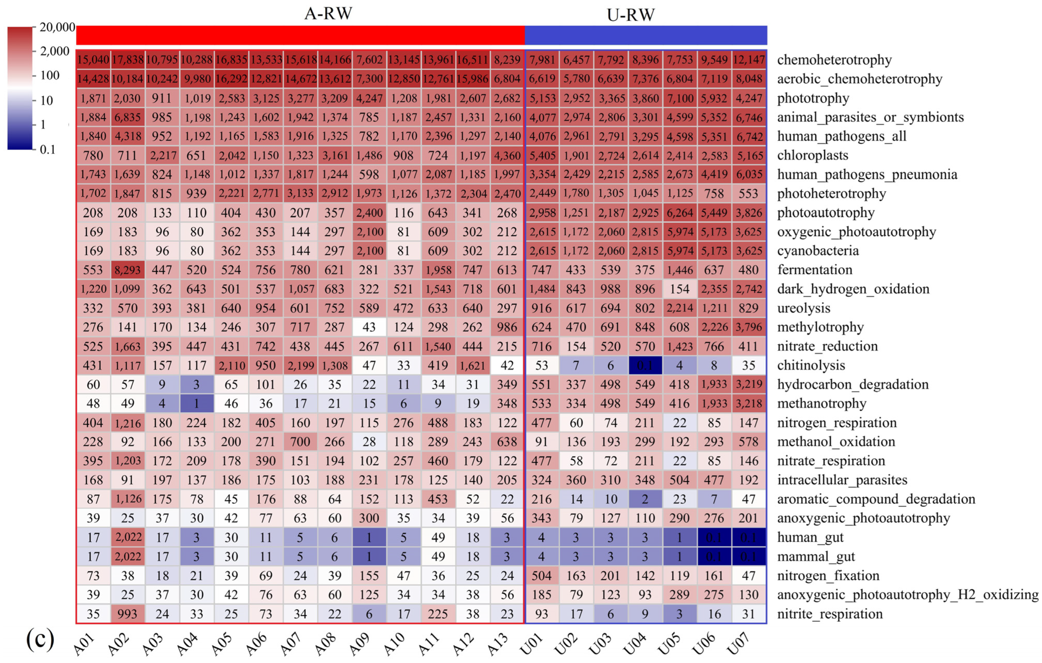 Toxics 13 00394 g007b