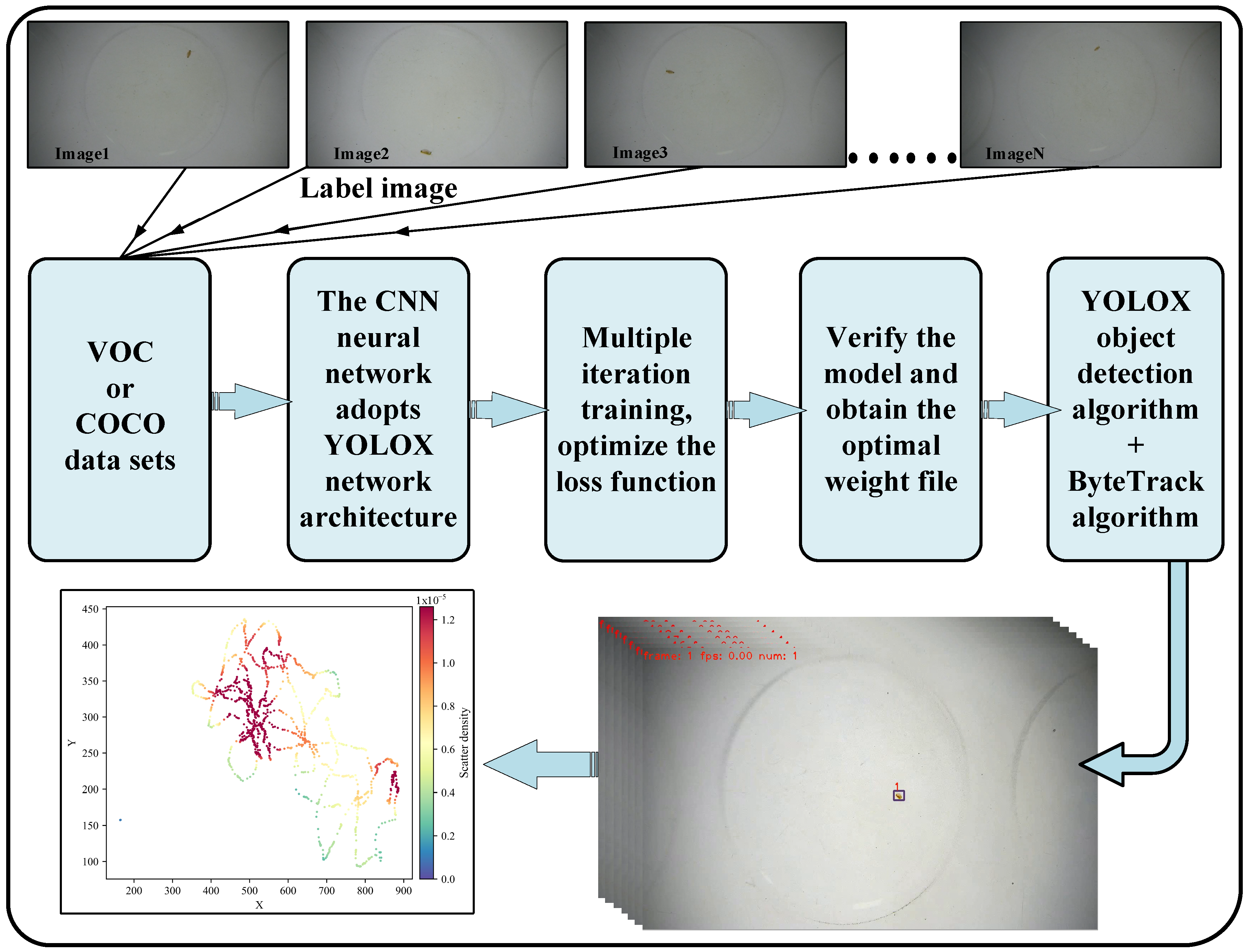 Toxics 13 00395 g001