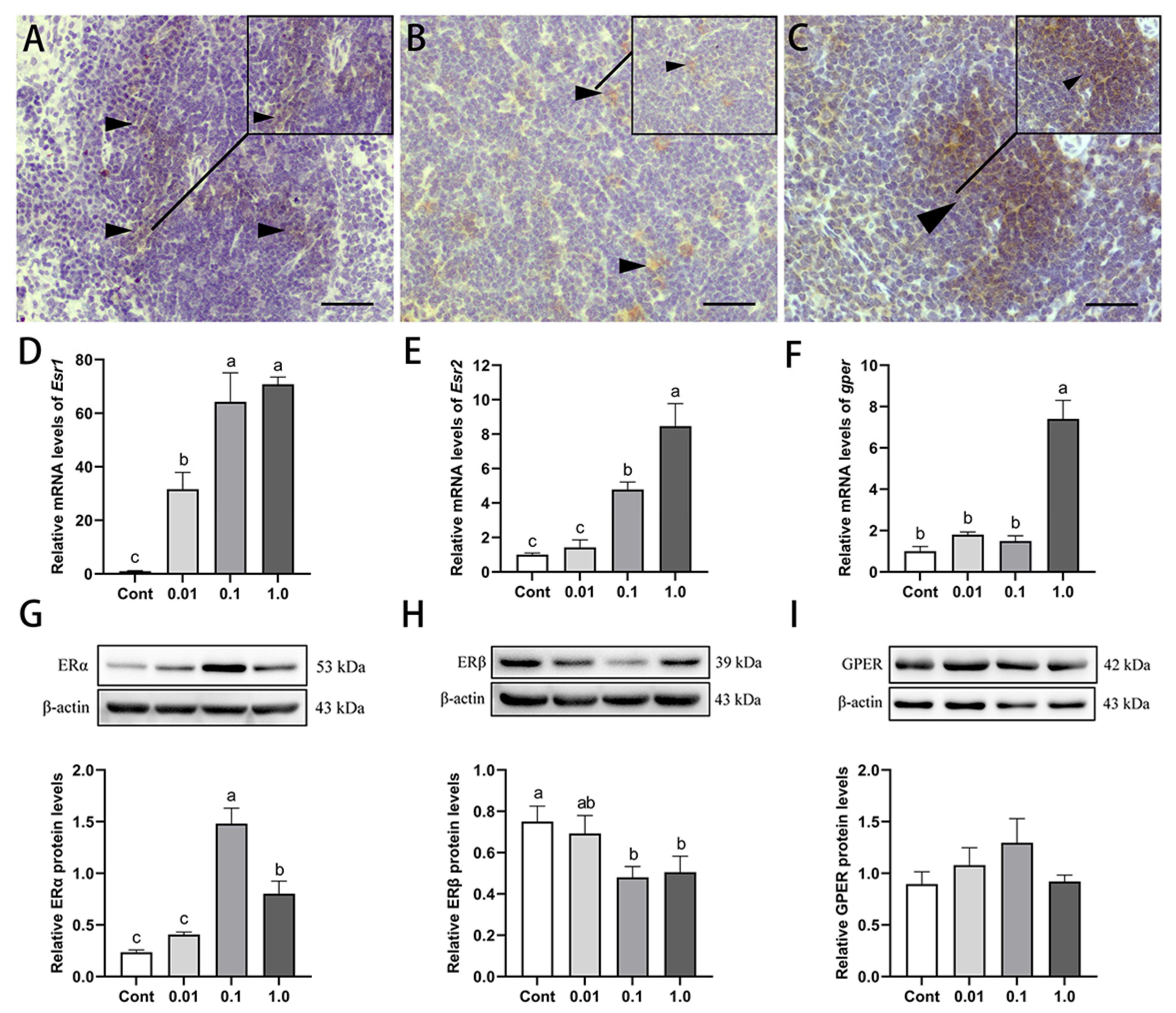 Toxics 13 00397 g006