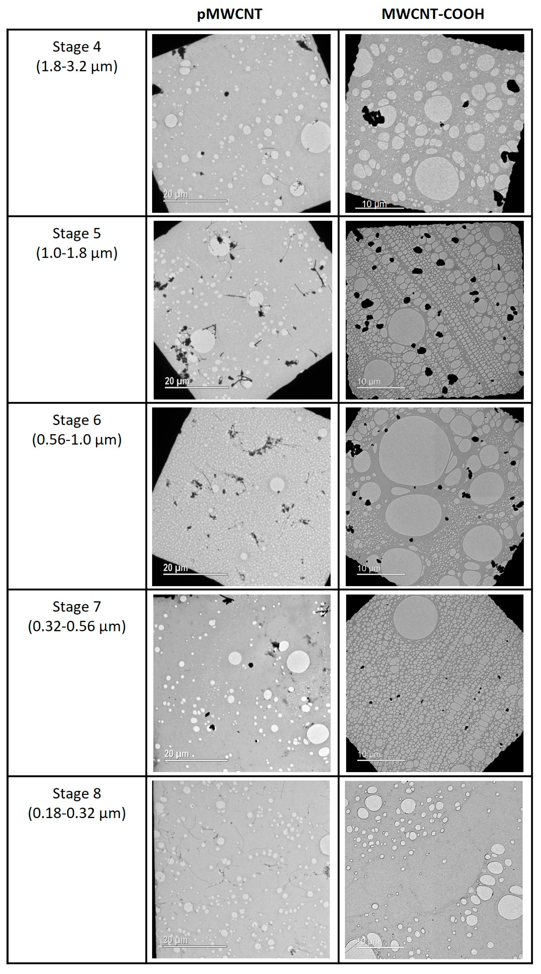 Toxics 13 00401 g002