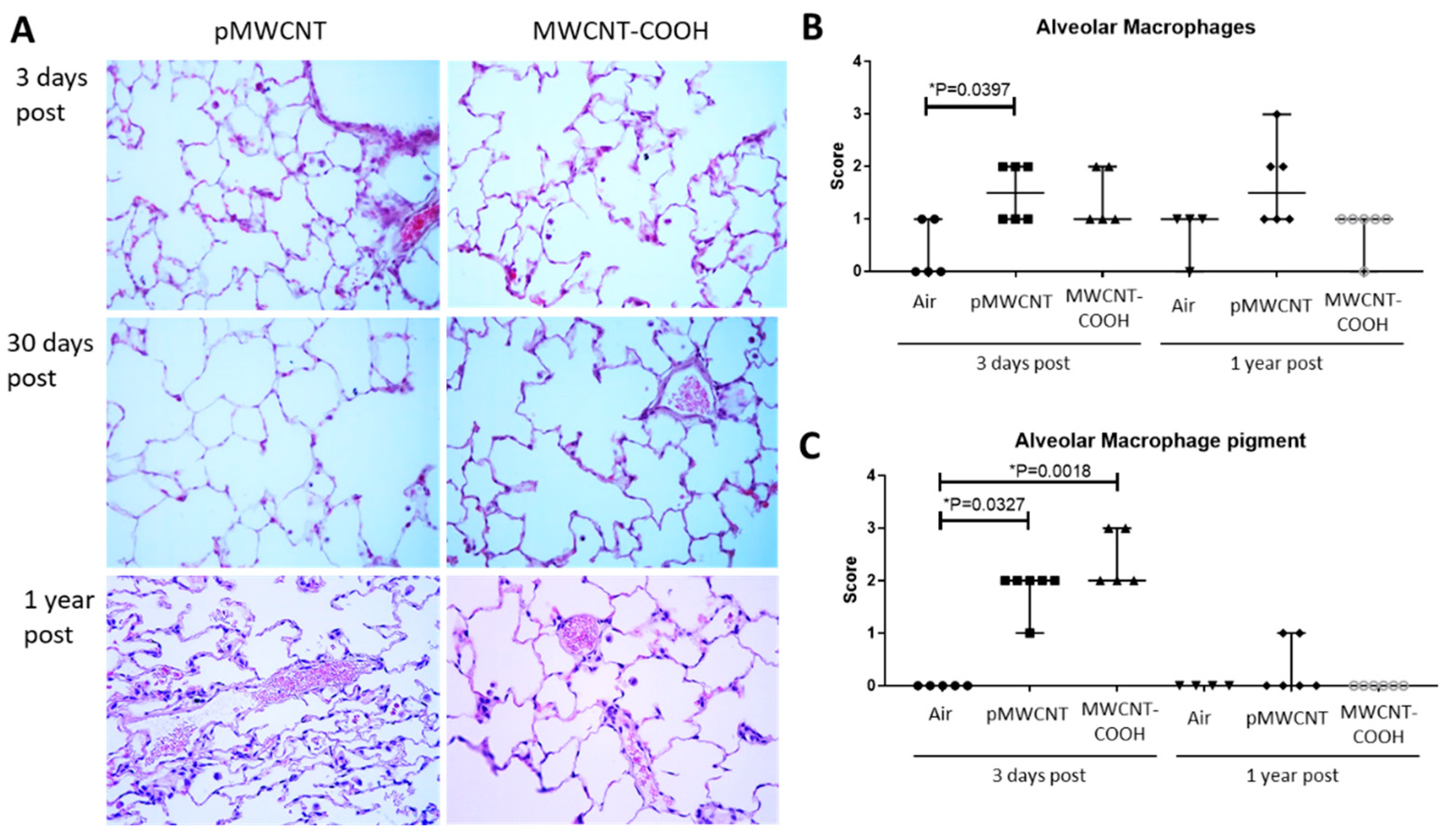 Toxics 13 00401 g004