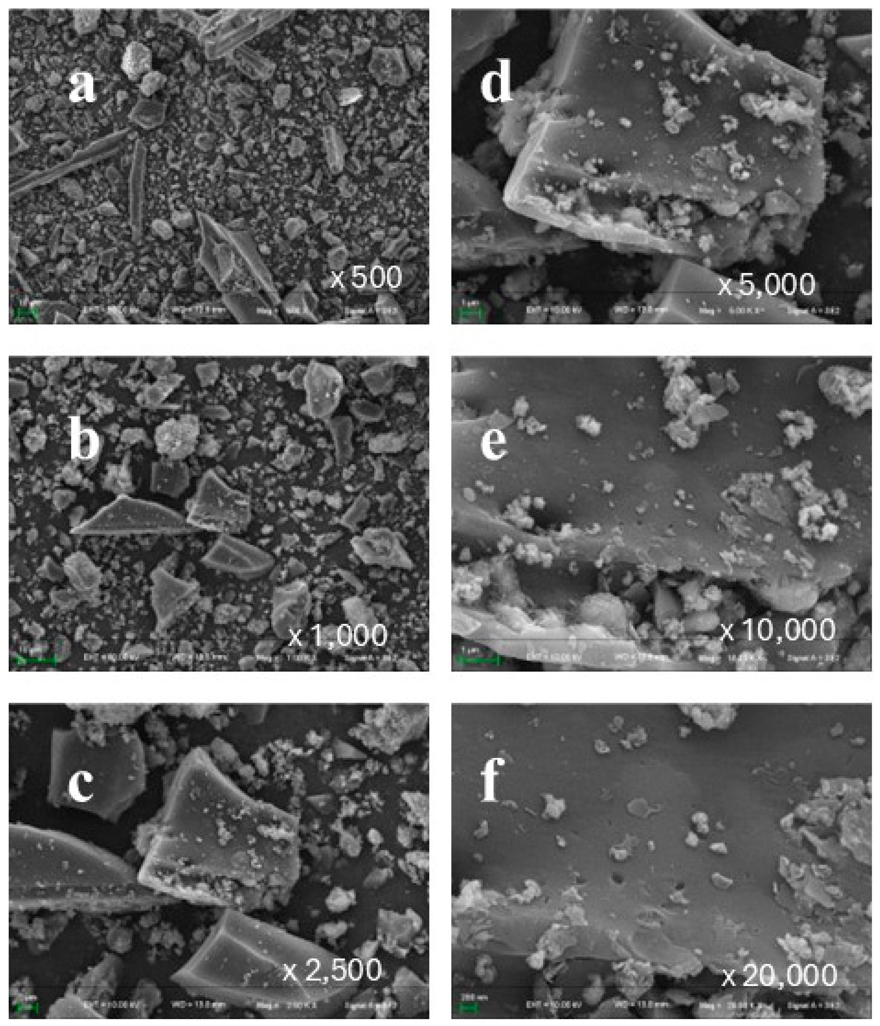 Toxics 13 00402 g002