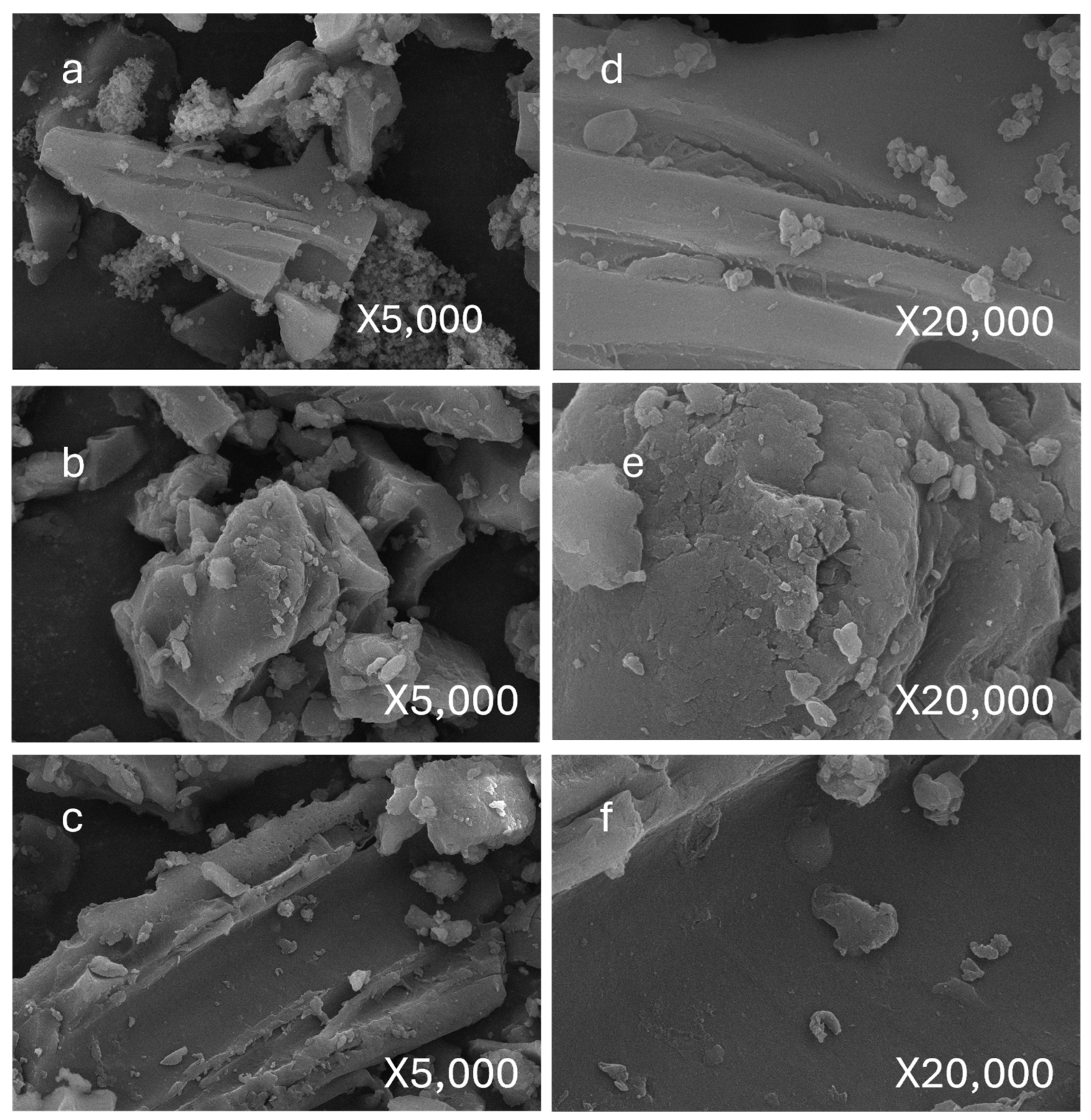 Toxics 13 00402 g003