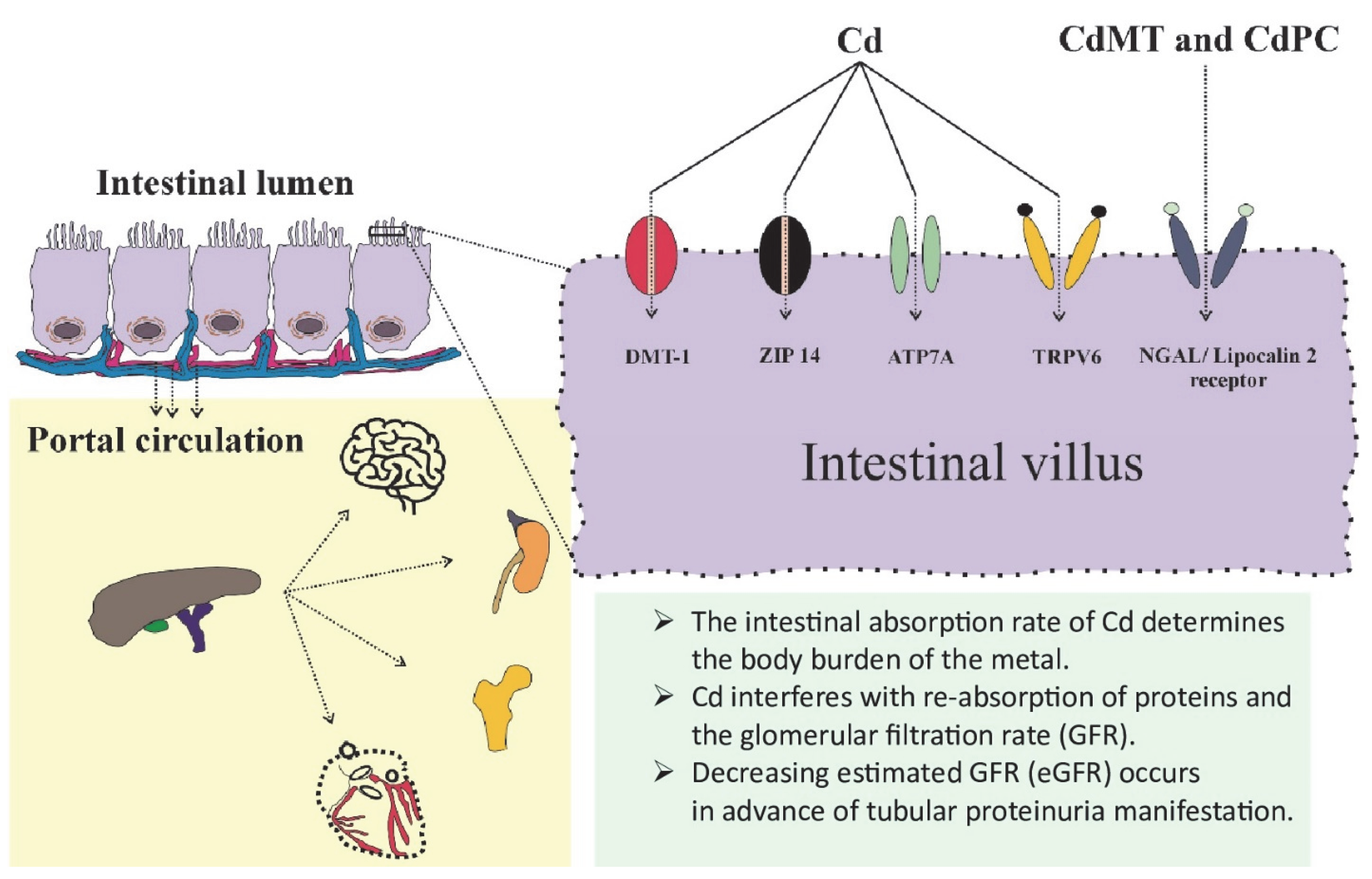 Toxics 13 00404 g001