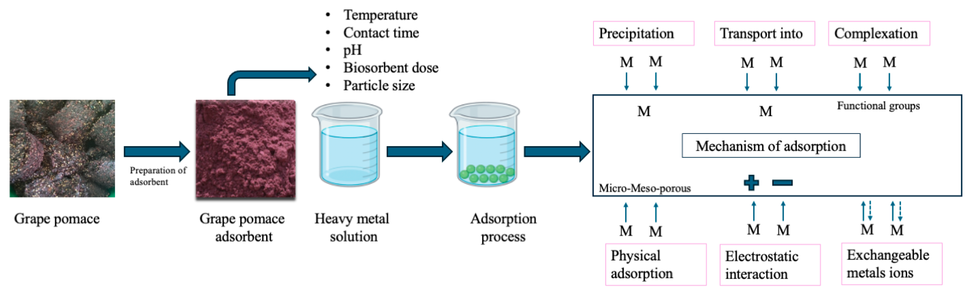 Toxics 13 00408 g002