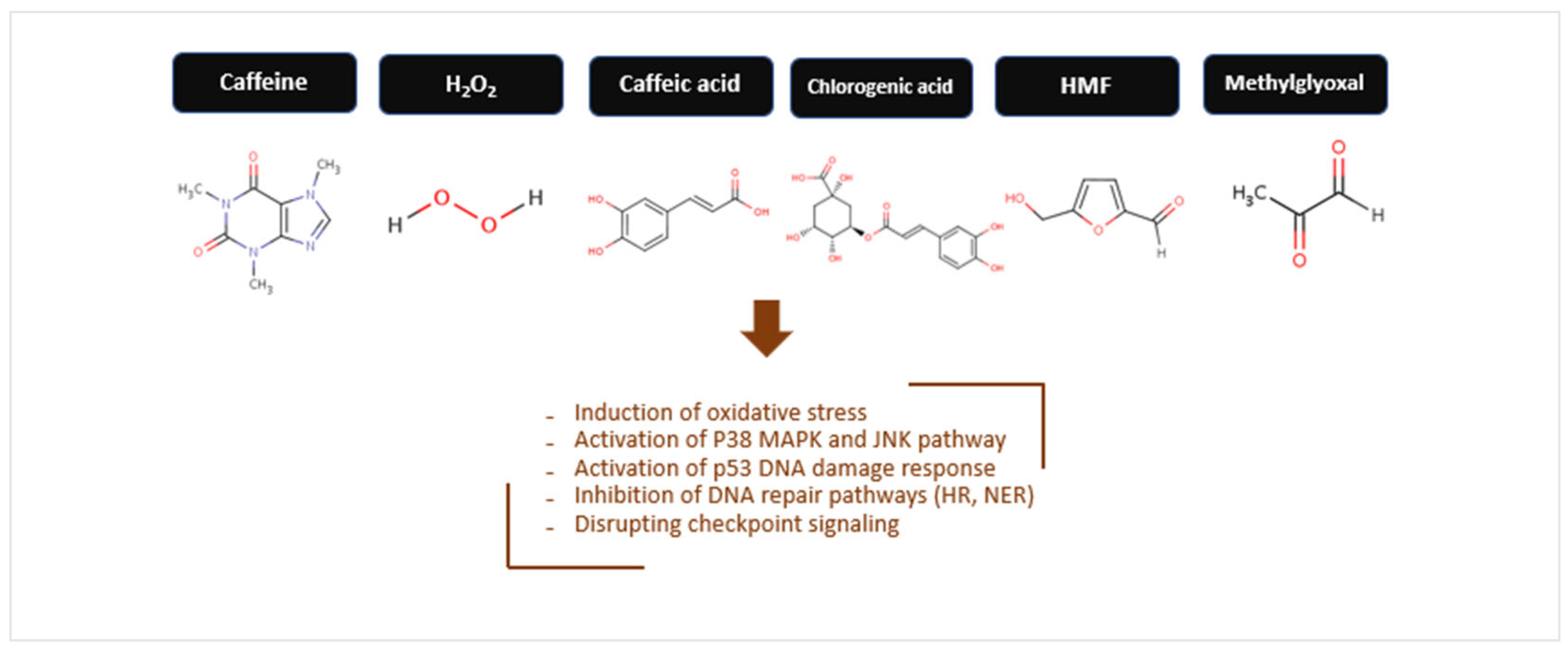 Toxics 13 00409 g002