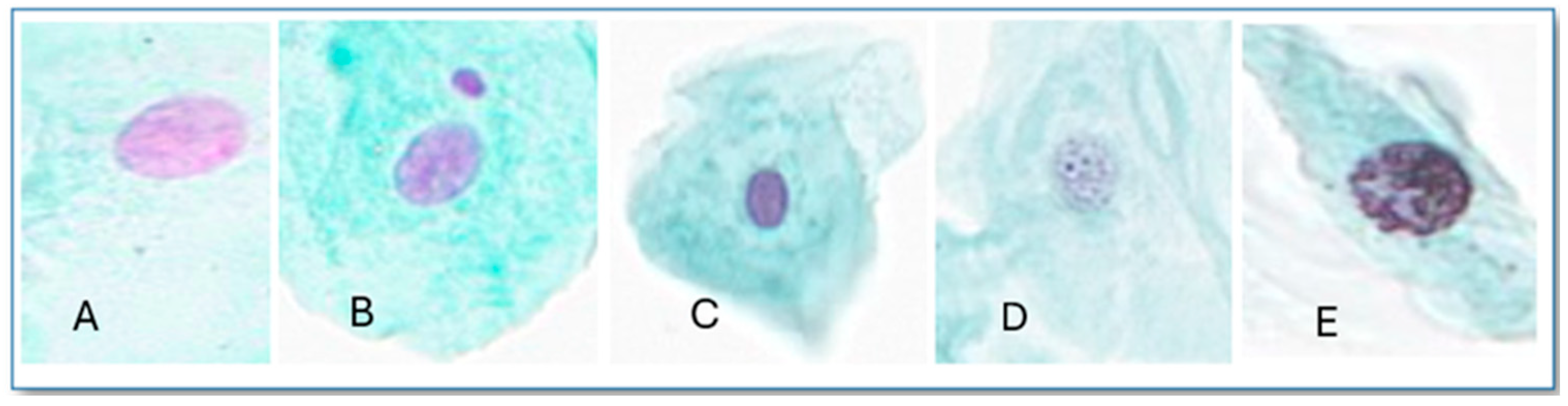 Toxics 13 00411 g001