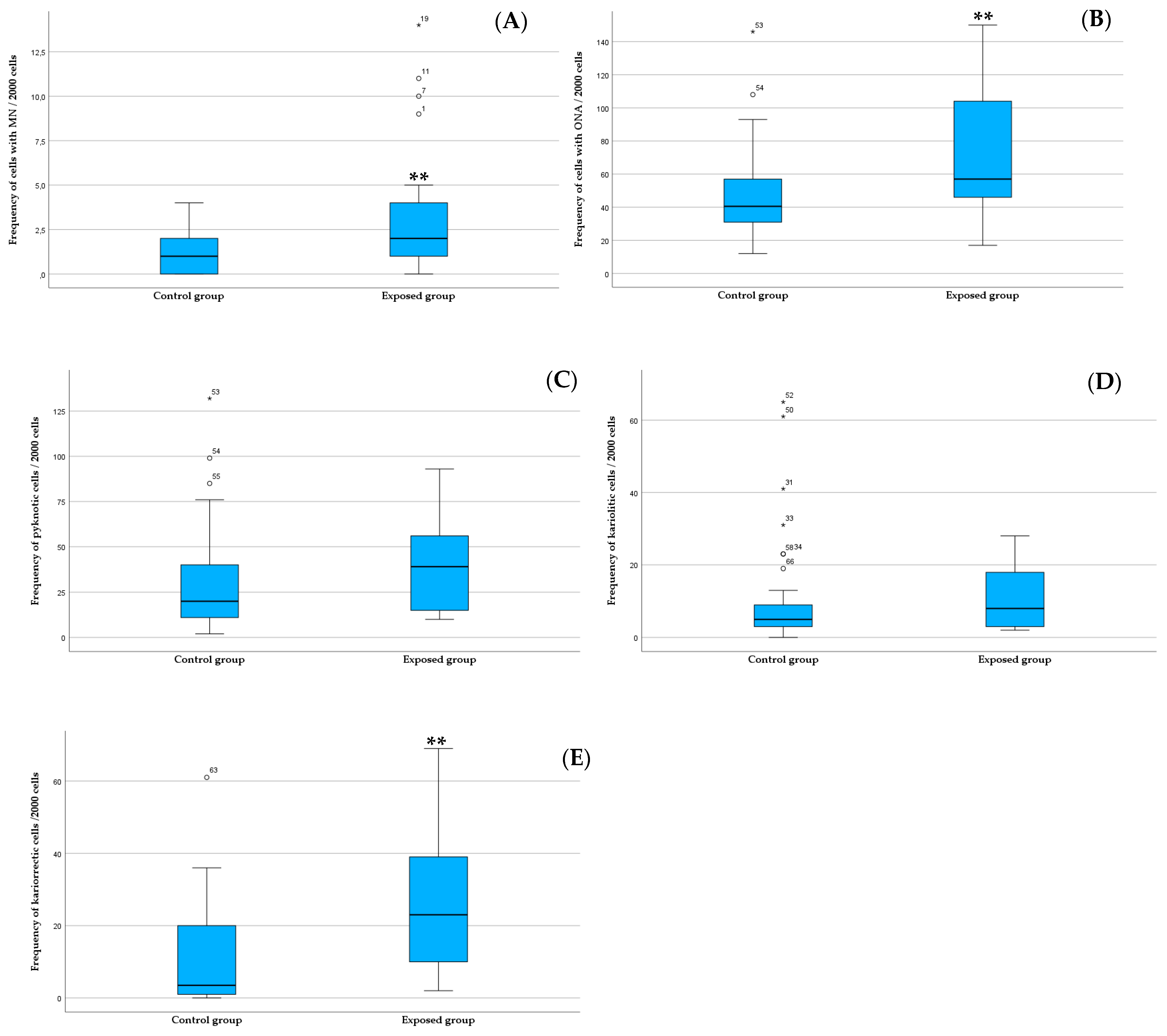 Toxics 13 00411 g002