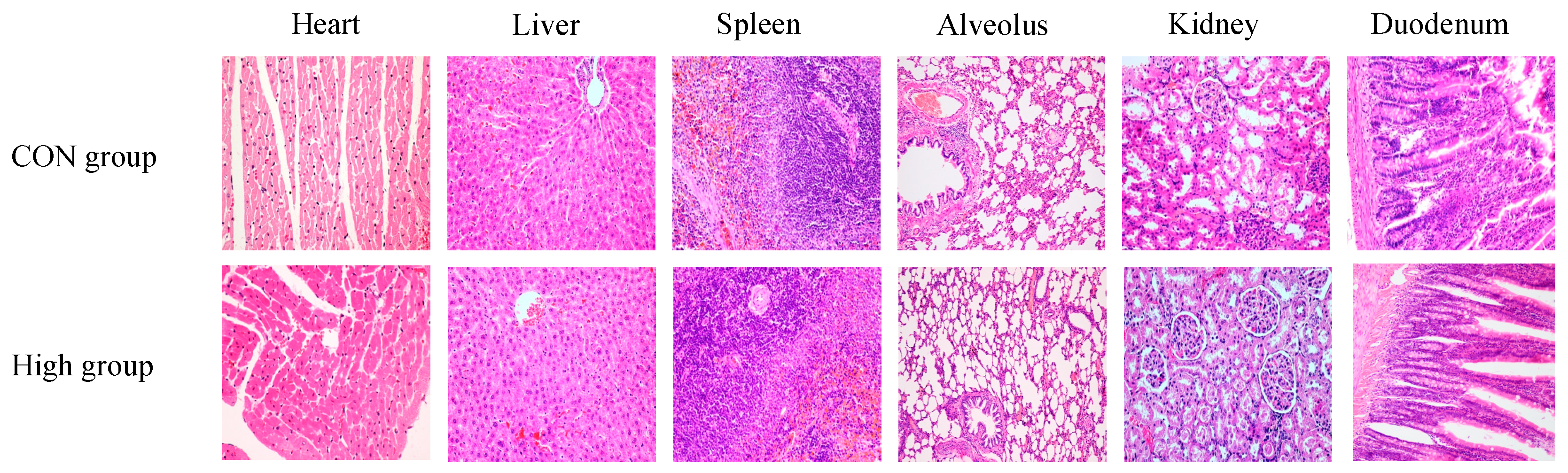 Toxics 13 00413 g010