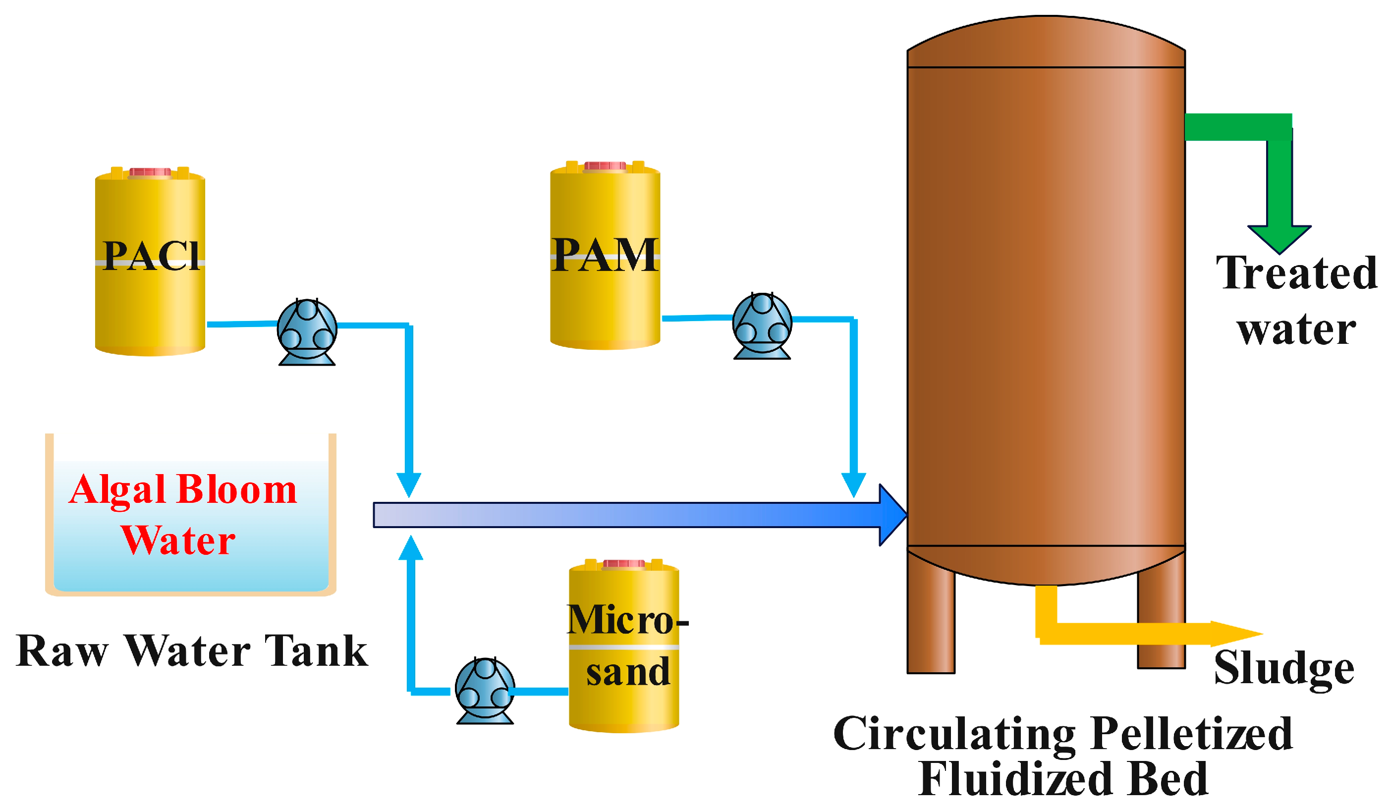 Toxics 13 00418 g001