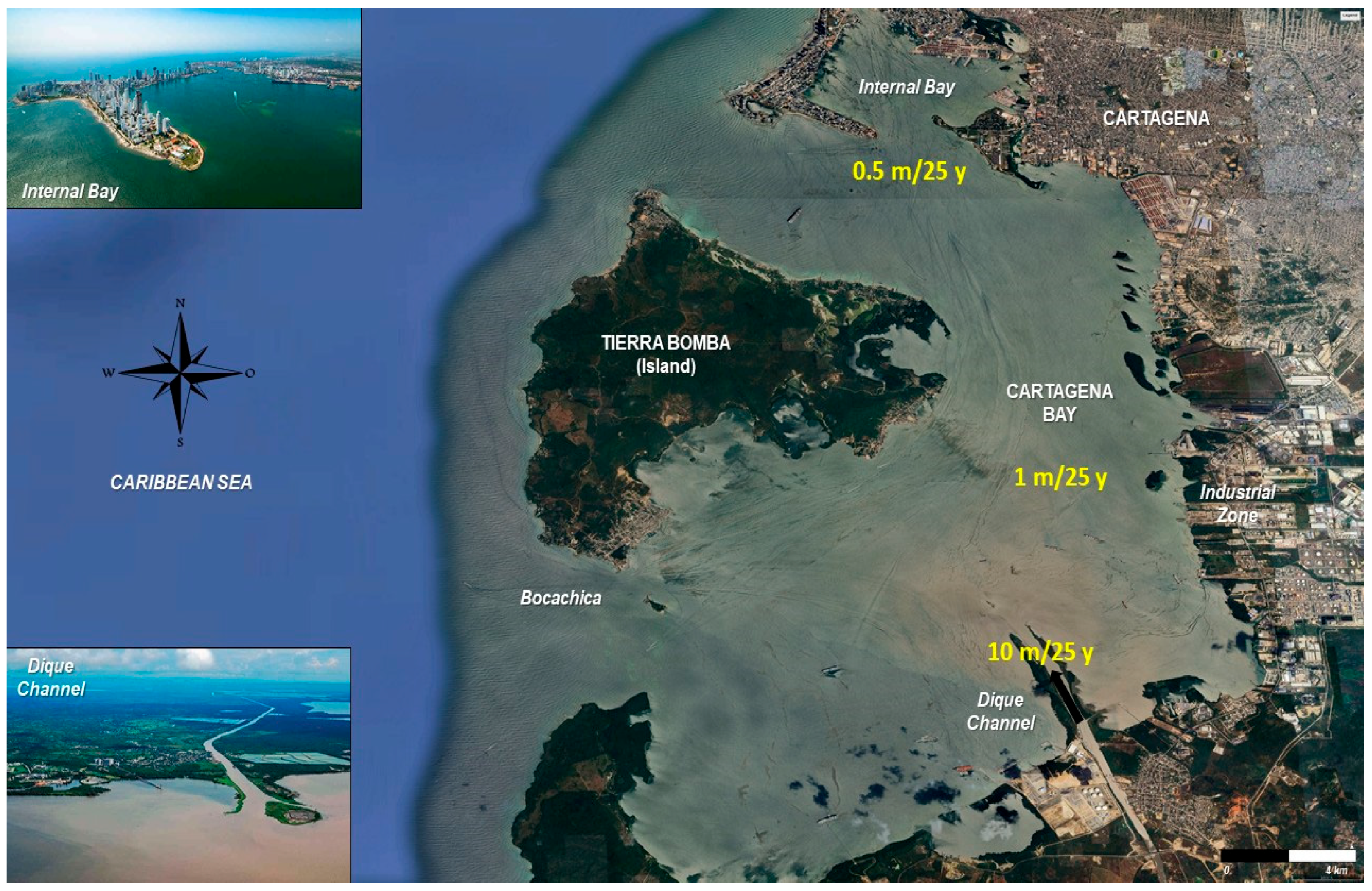 Toxics 13 00421 g001