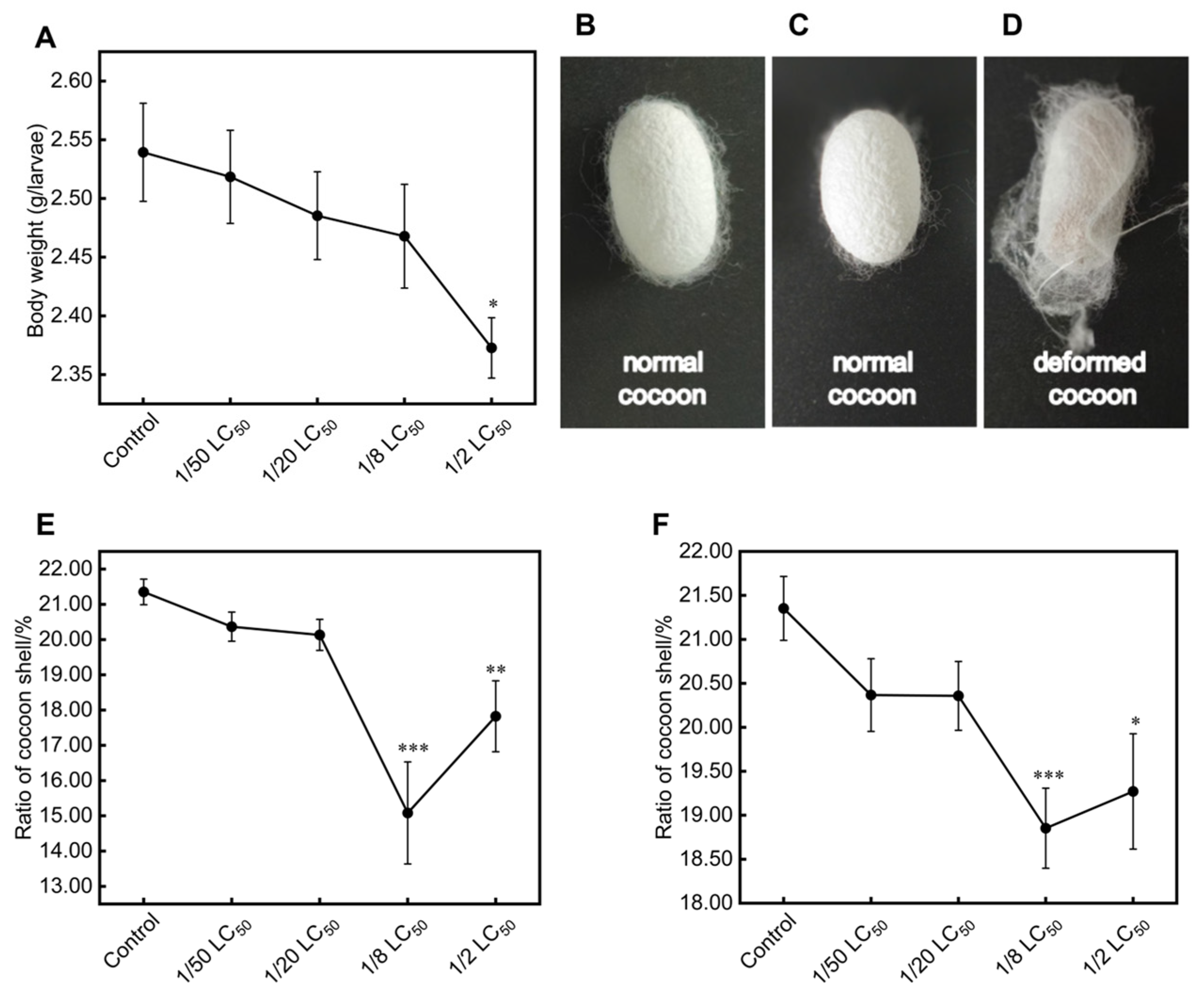 Toxics 13 00427 g001