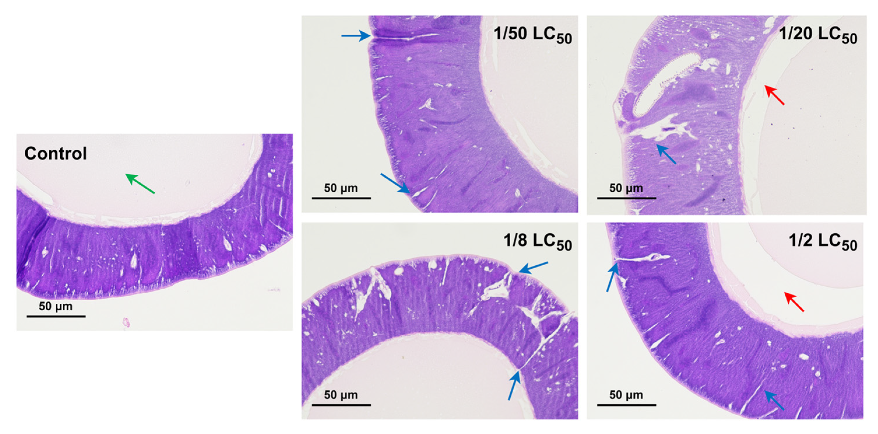 Toxics 13 00427 g002