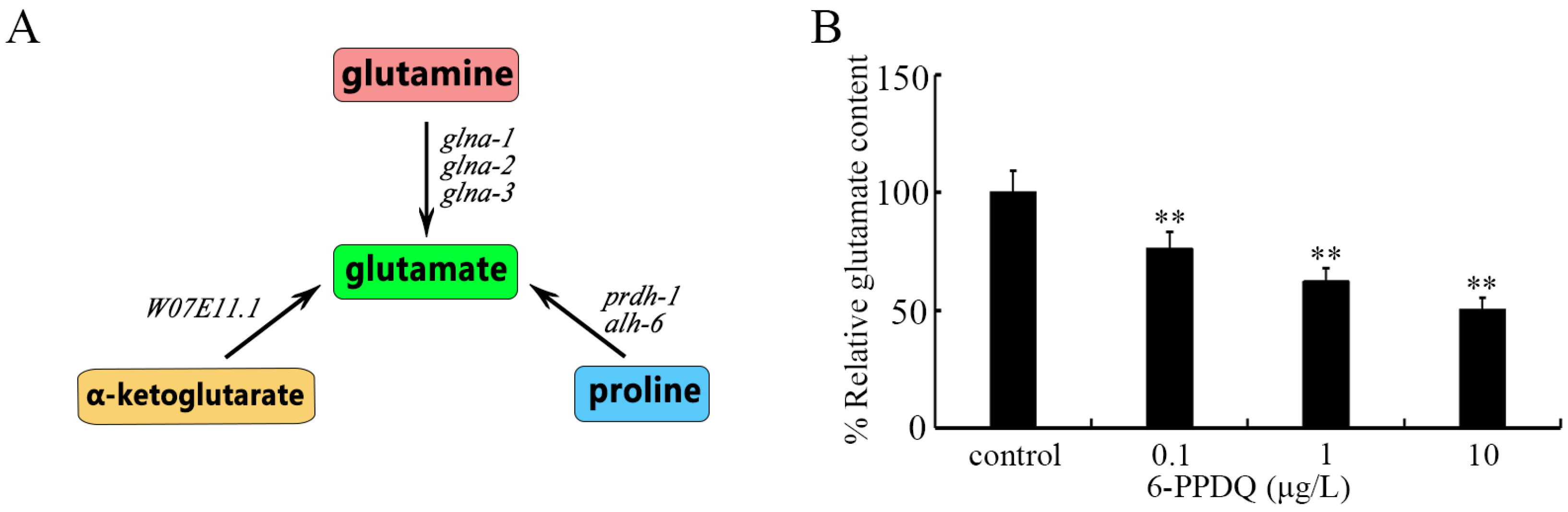 Toxics 13 00434 g001